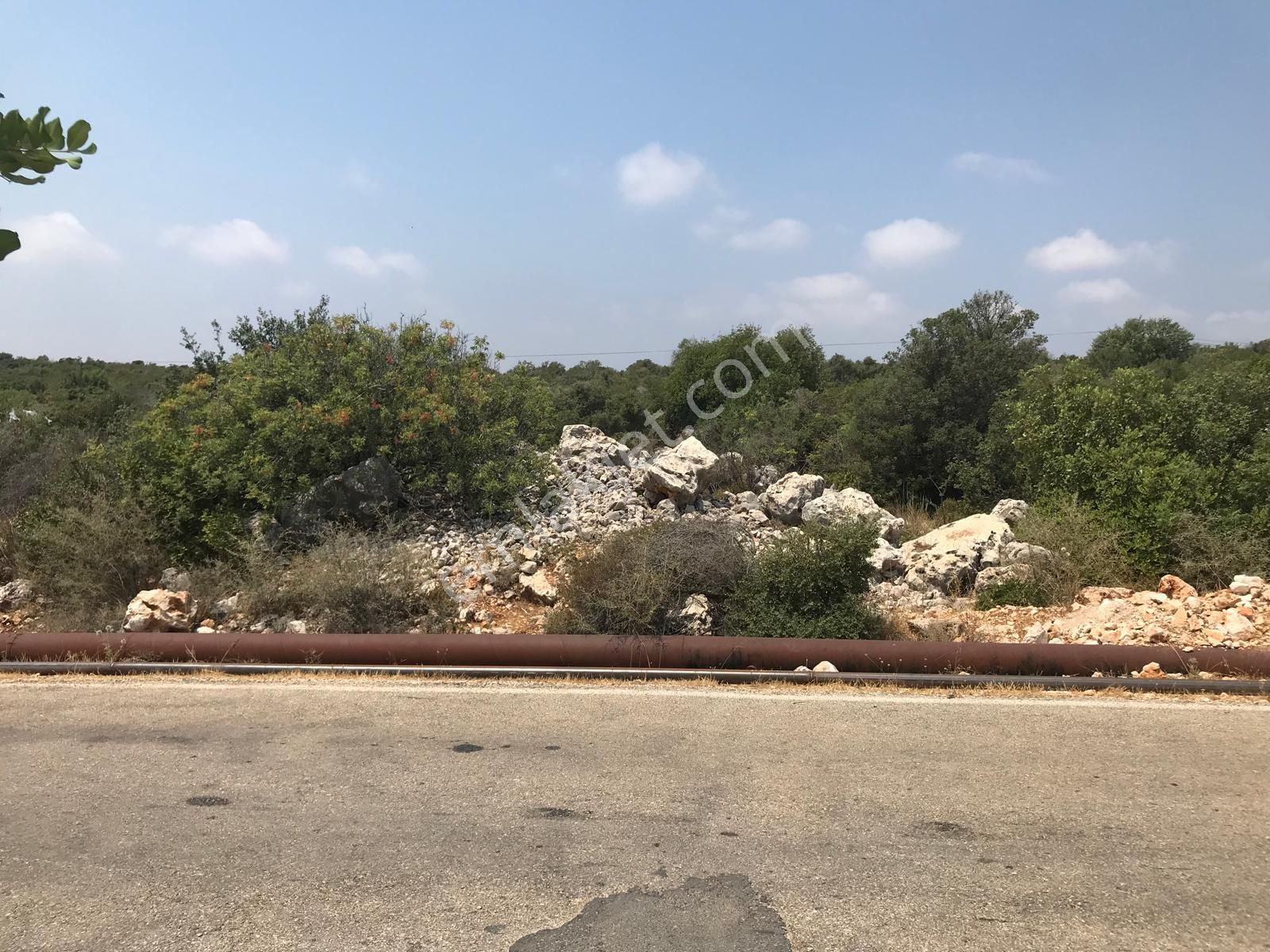Narlıkuyu - Kızılisalı ' Da Satılık Asfalt Yola Cepheli Deniz Manzaralı Tarla - Görsel 6