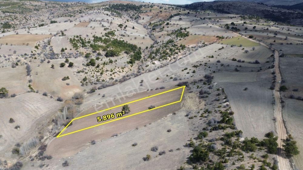 Ilgın Yukarıçiğilde 5.896 M2 Müstakil Tapulu Tarla