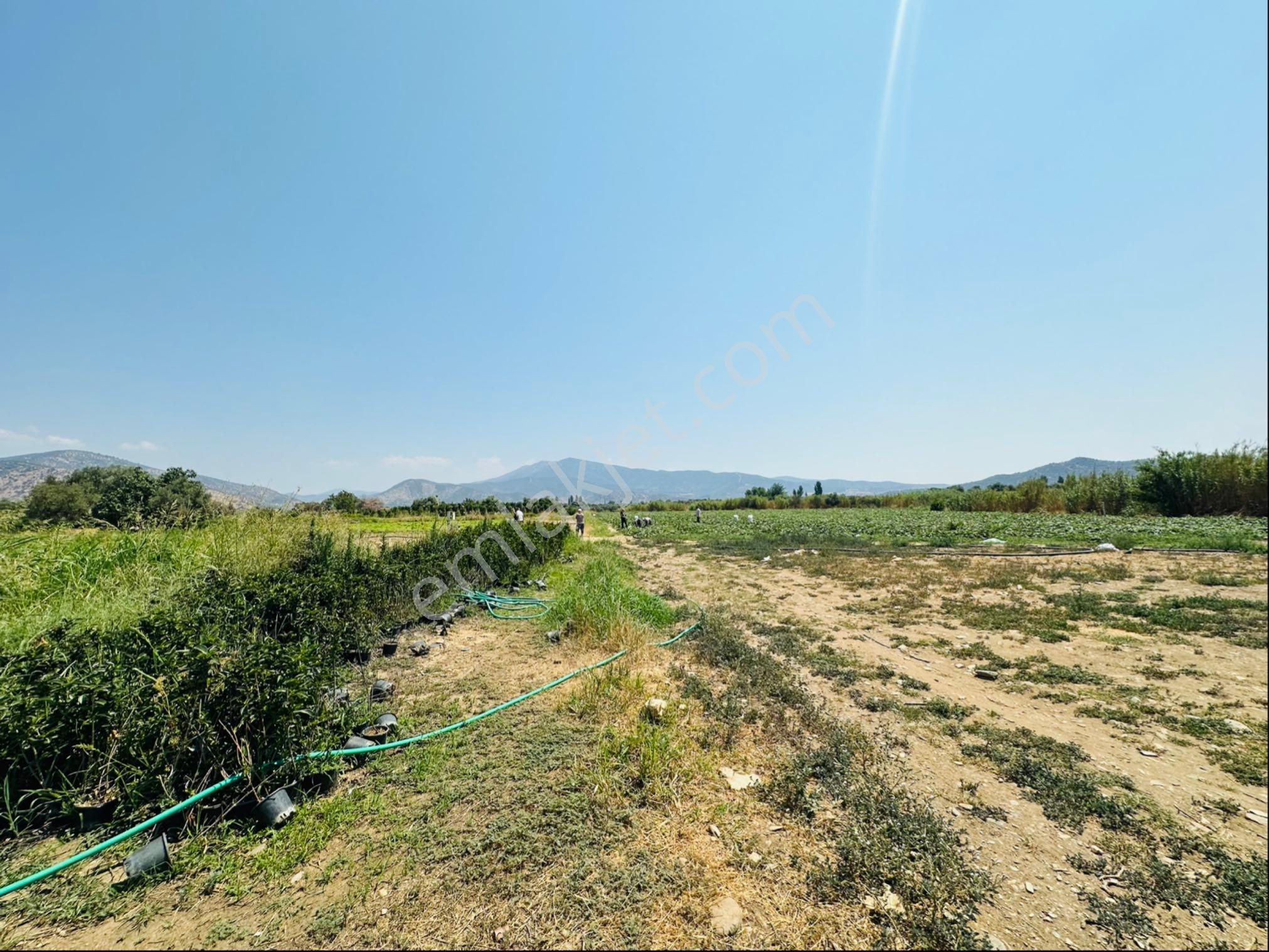 Bayındır Satılık Tarla Yakacık Köyü 9500 M2 Elektrk Su Mevcut - Görsel 6
