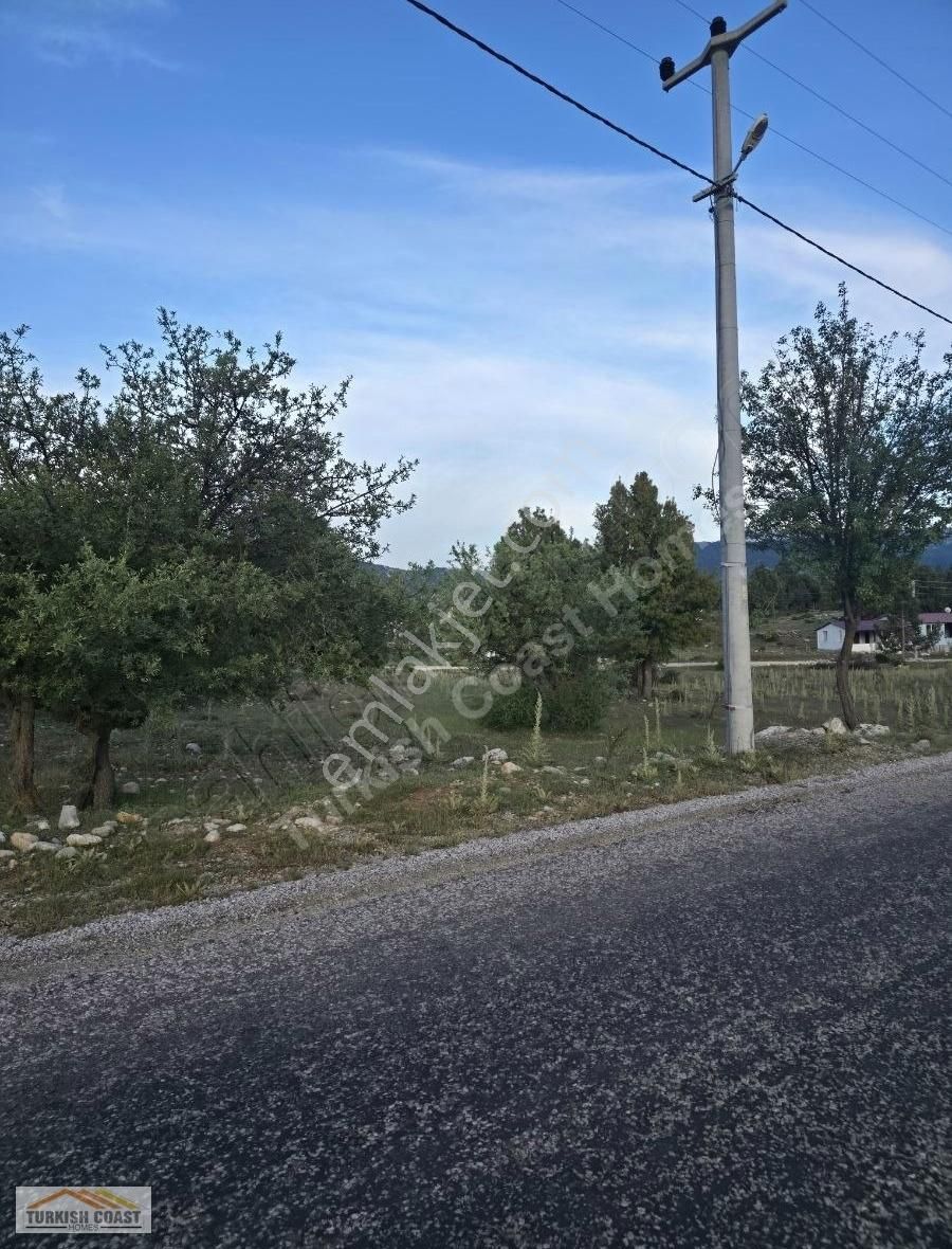 Yayla Ceylan'da Satılık Arazi - Görsel 6