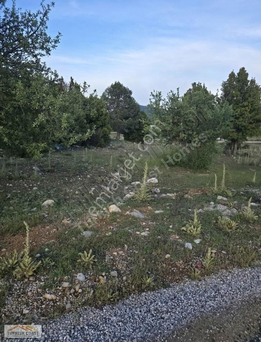 Yayla Ceylan'da Satılık Arazi - Görsel 8