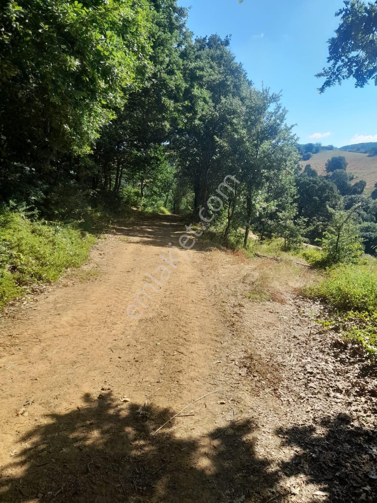 Biga Dikmende Doğayla İç İçe Köy Civarı - Görsel 10