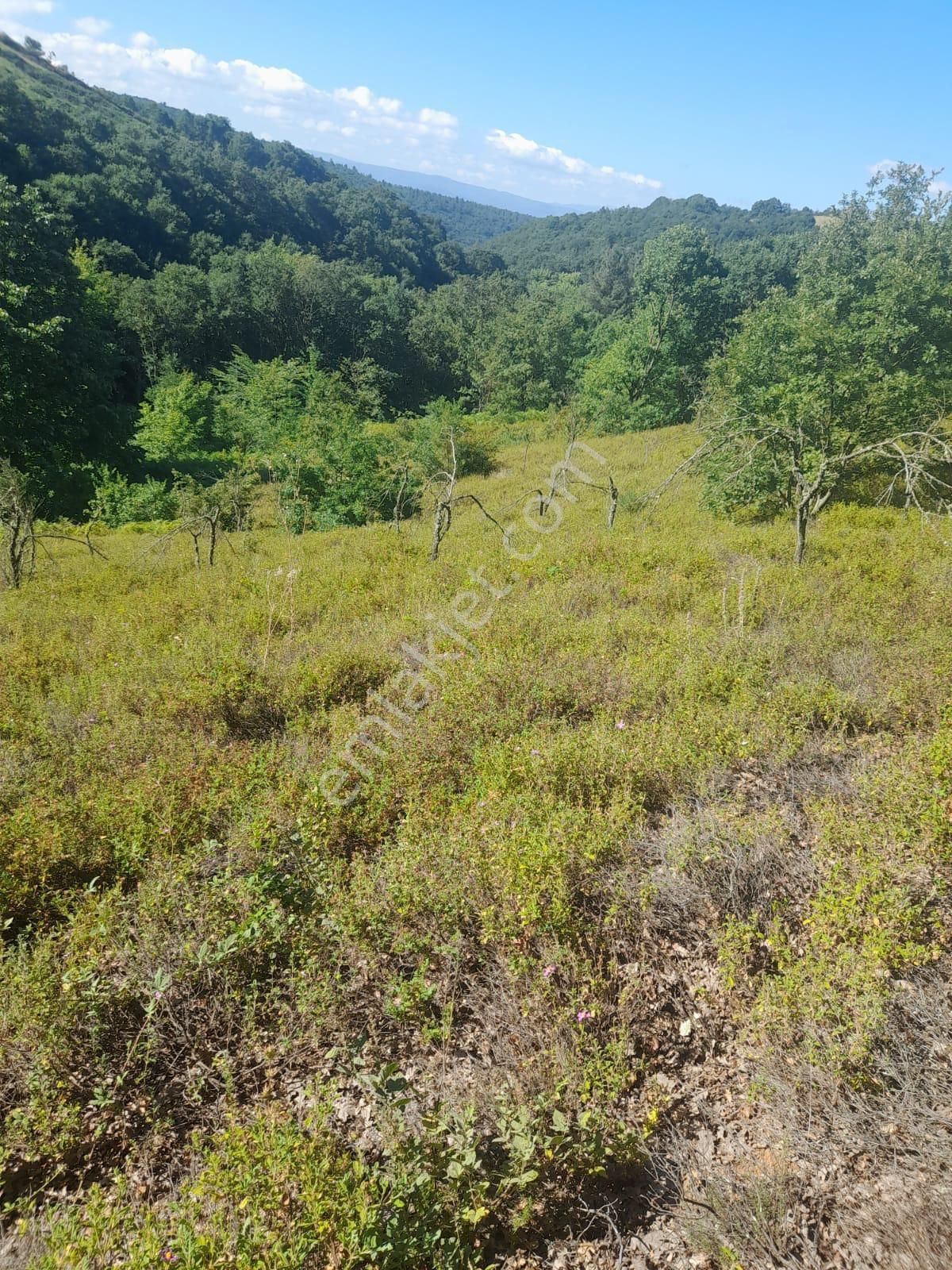 Biga Dikmende Doğayla İç İçe Köy Civarı - Görsel 7