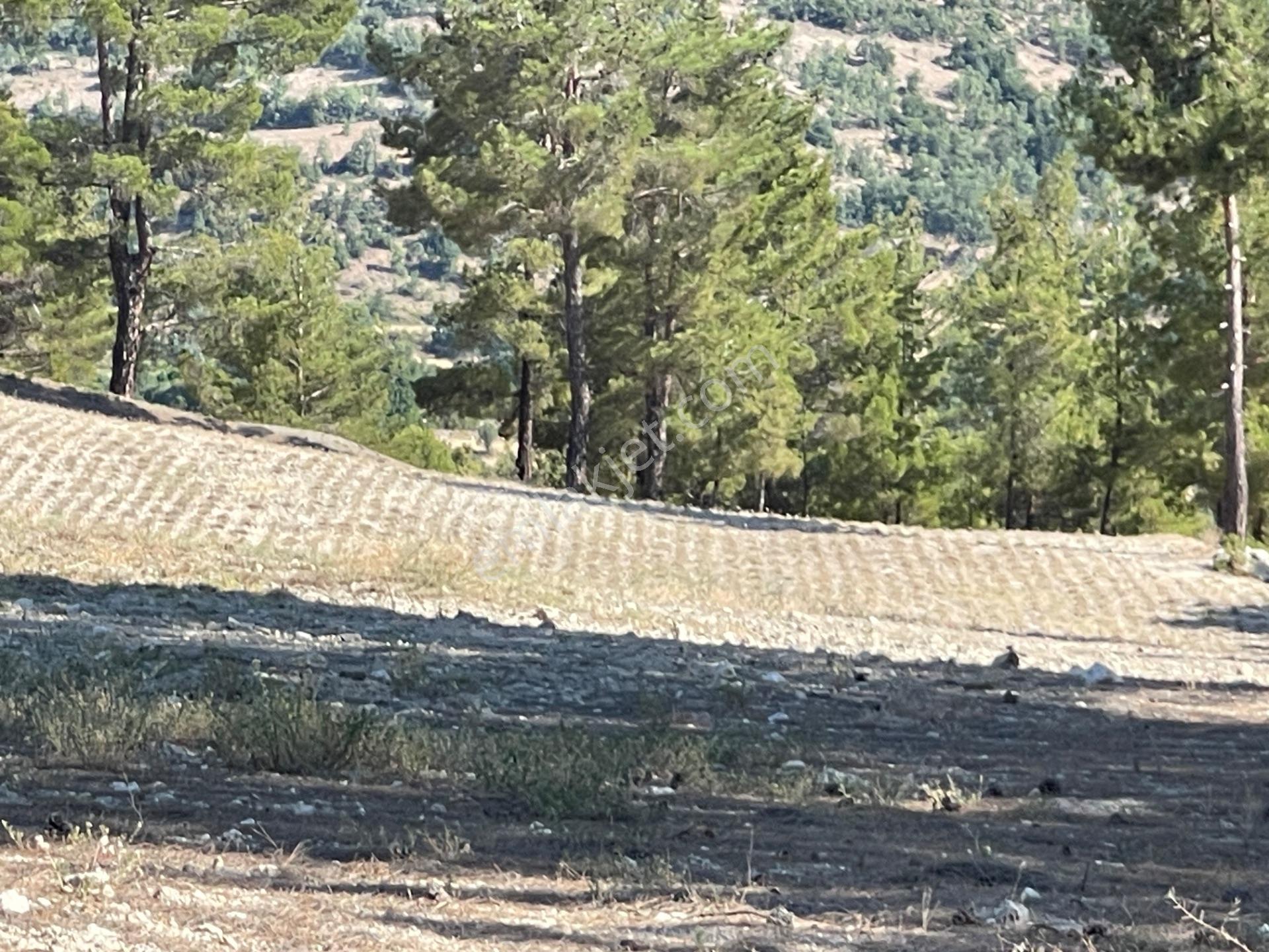 Acil Satılık Süper Fırsat Yatırım - Görsel 3