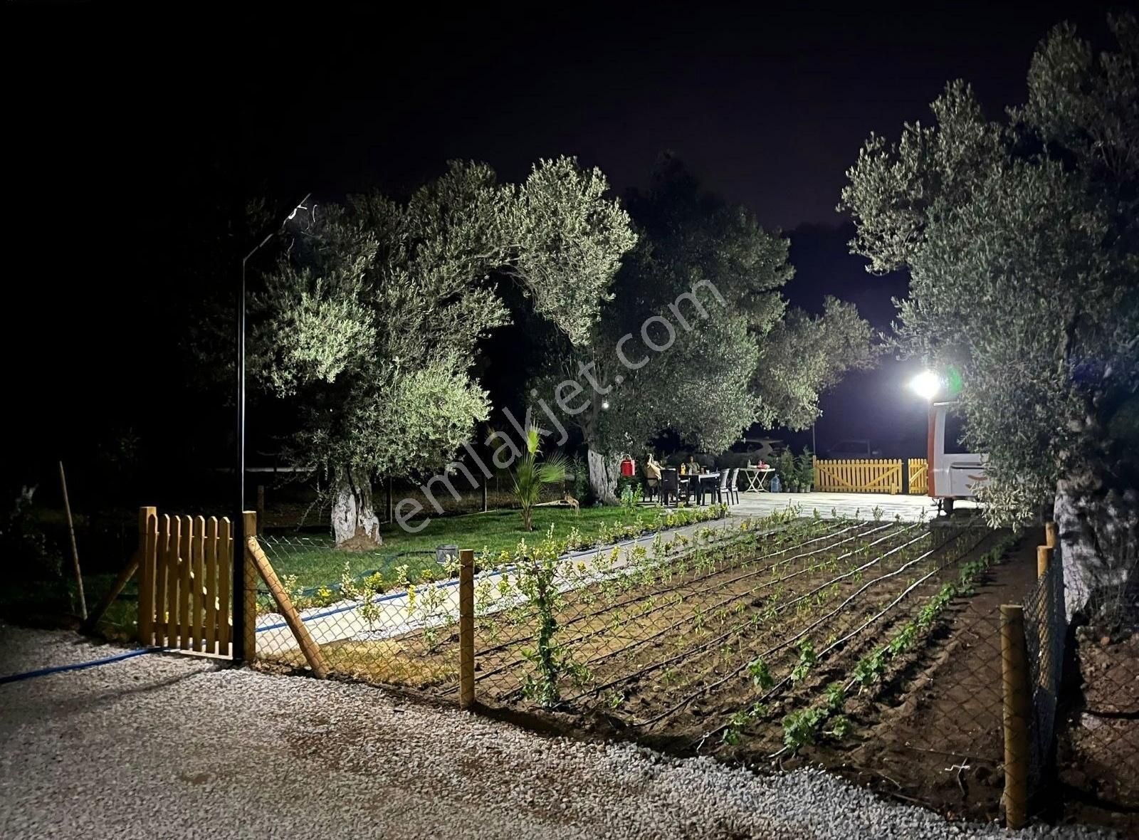 Balıkesir Zeytinli Kızılkeçili Koyunde Hobı Bahçesı - Görsel 7