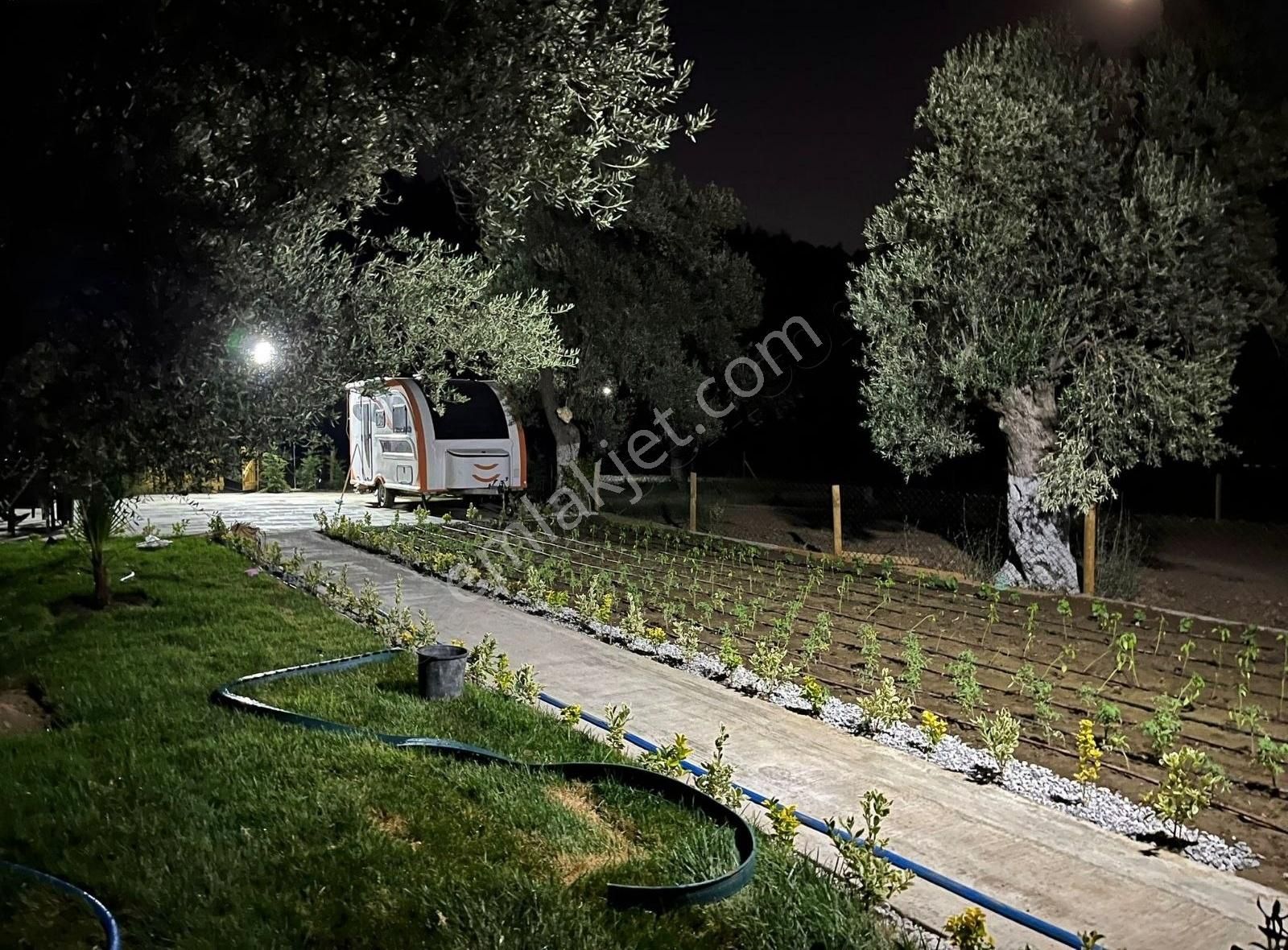 Balıkesir Zeytinli Kızılkeçili Koyunde Hobı Bahçesı - Görsel 4