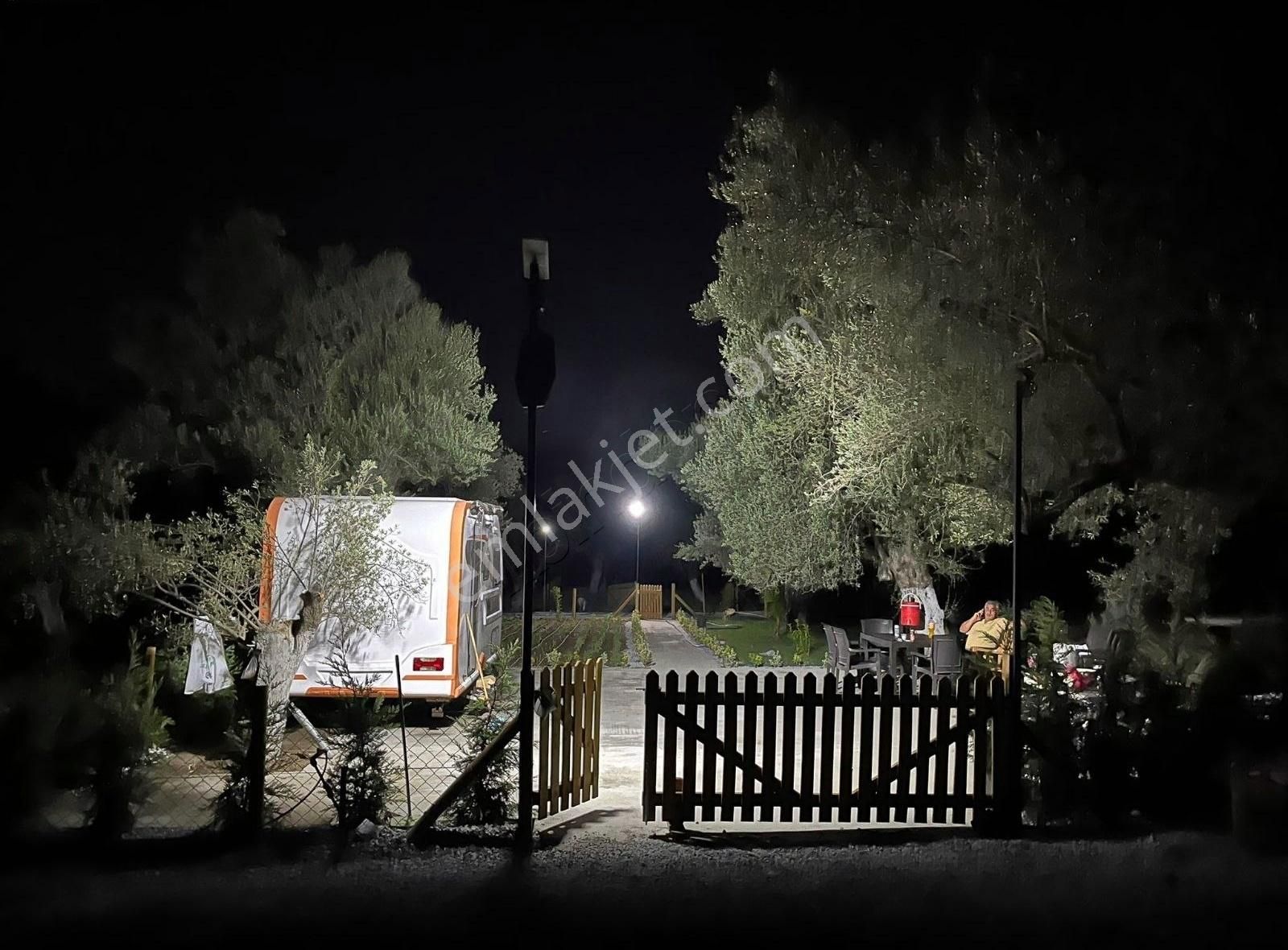 Balıkesir Zeytinli Kızılkeçili Koyunde Hobı Bahçesı - Görsel 6