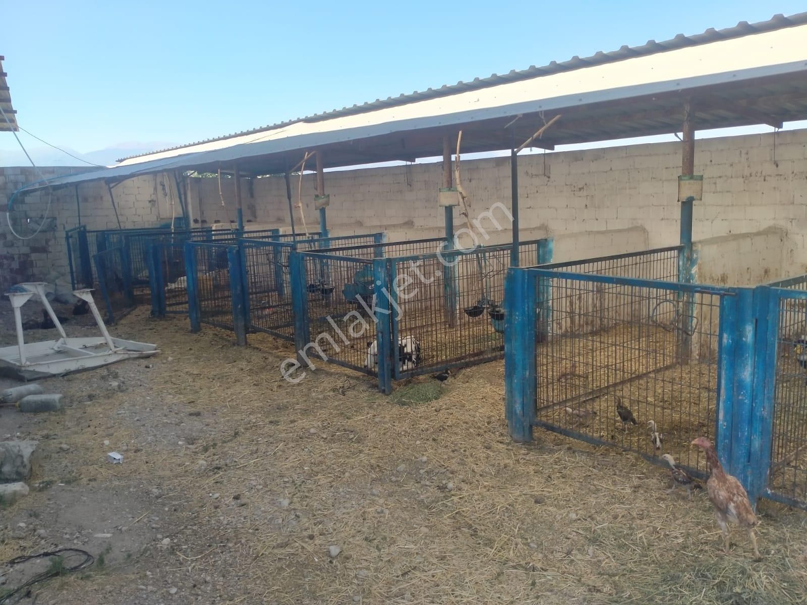 Kiralık Çiftlik Yaşar Emlak Tan
