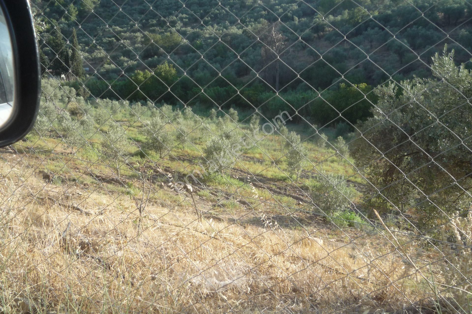 İzmir Torbalı Gold Emlaktan Satılık Bahçeli Ev - Görsel 10