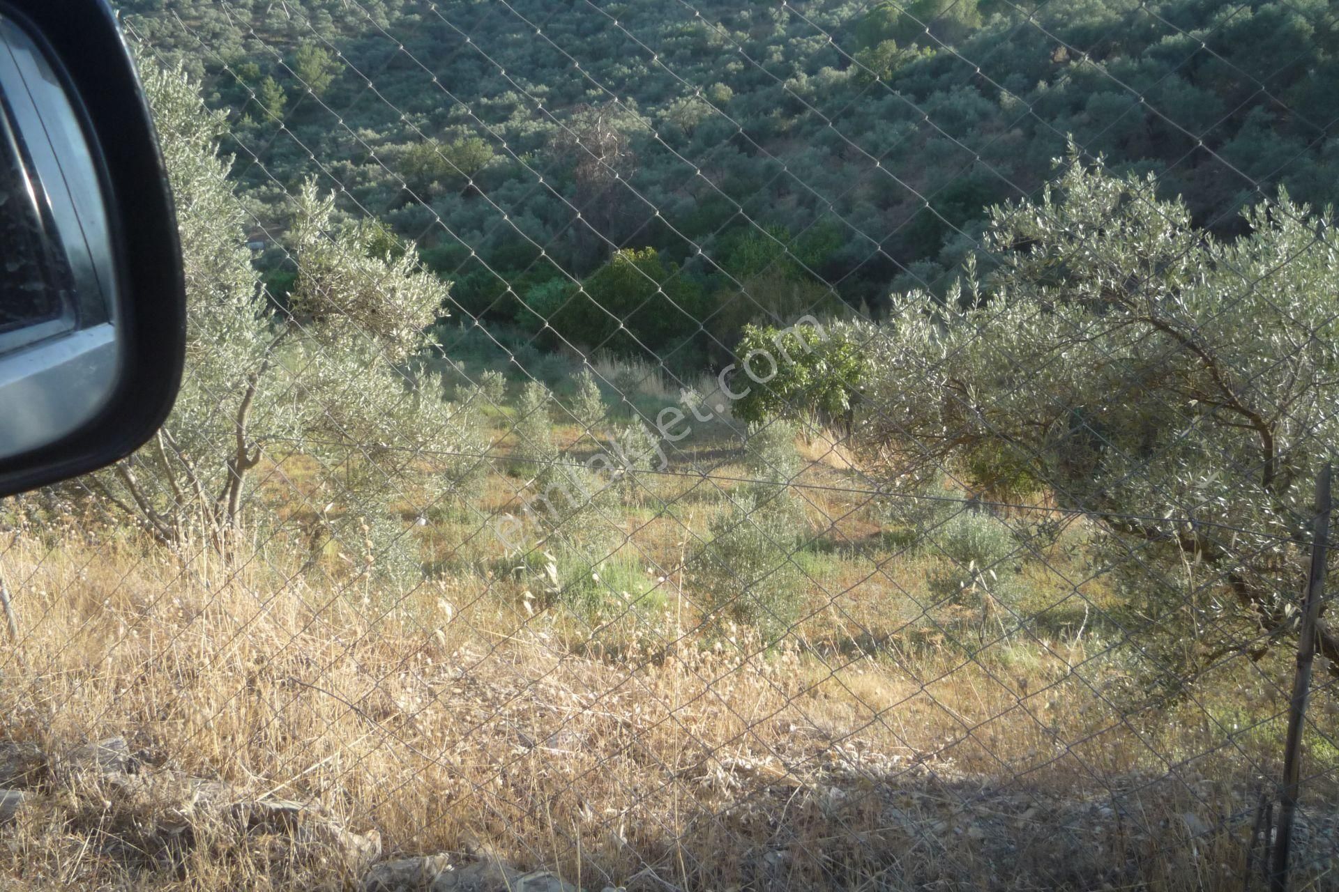 İzmir Torbalı Gold Emlaktan Satılık Bahçeli Ev - Görsel 8