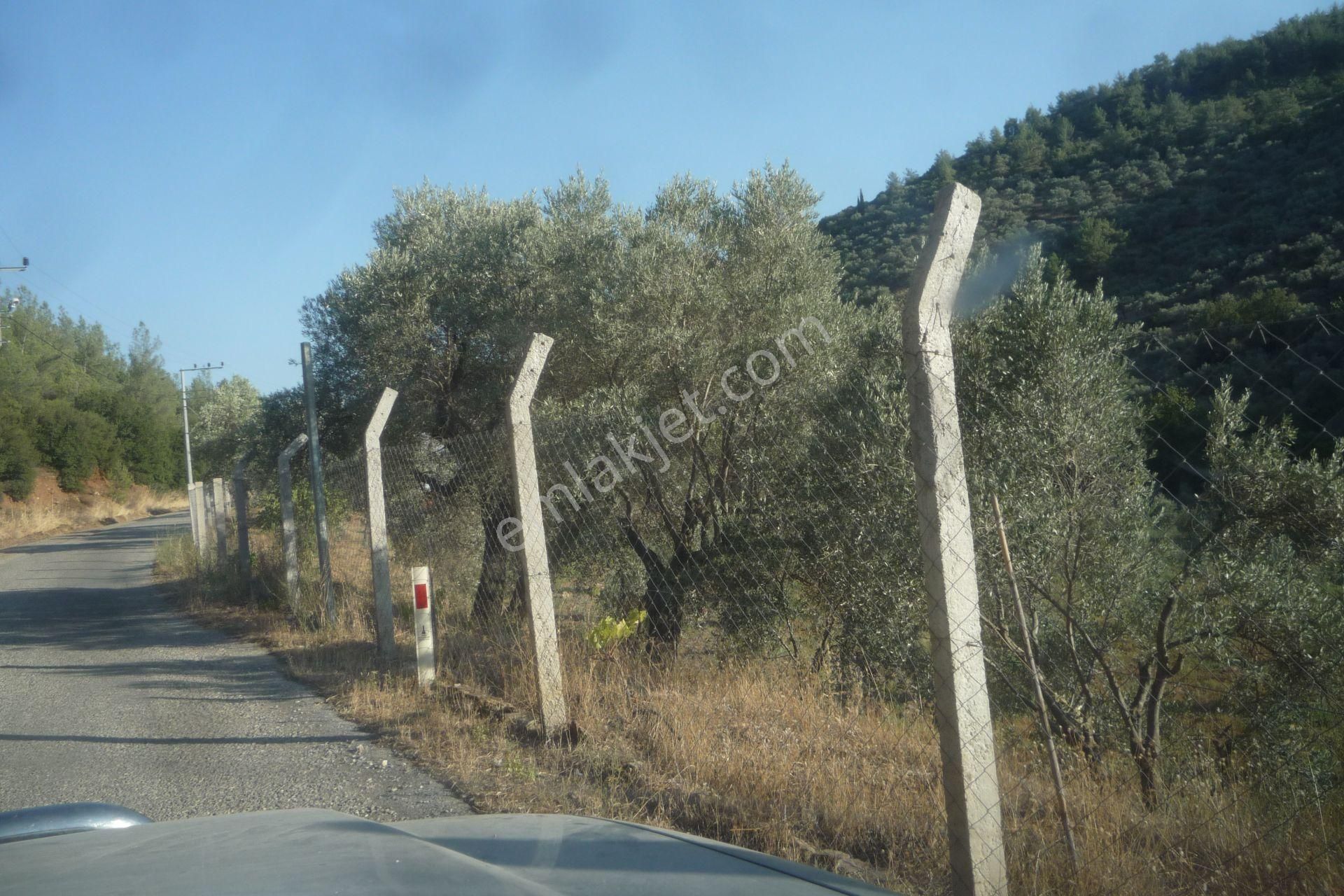 İzmir Torbalı Gold Emlaktan Satılık Bahçeli Ev - Görsel 9