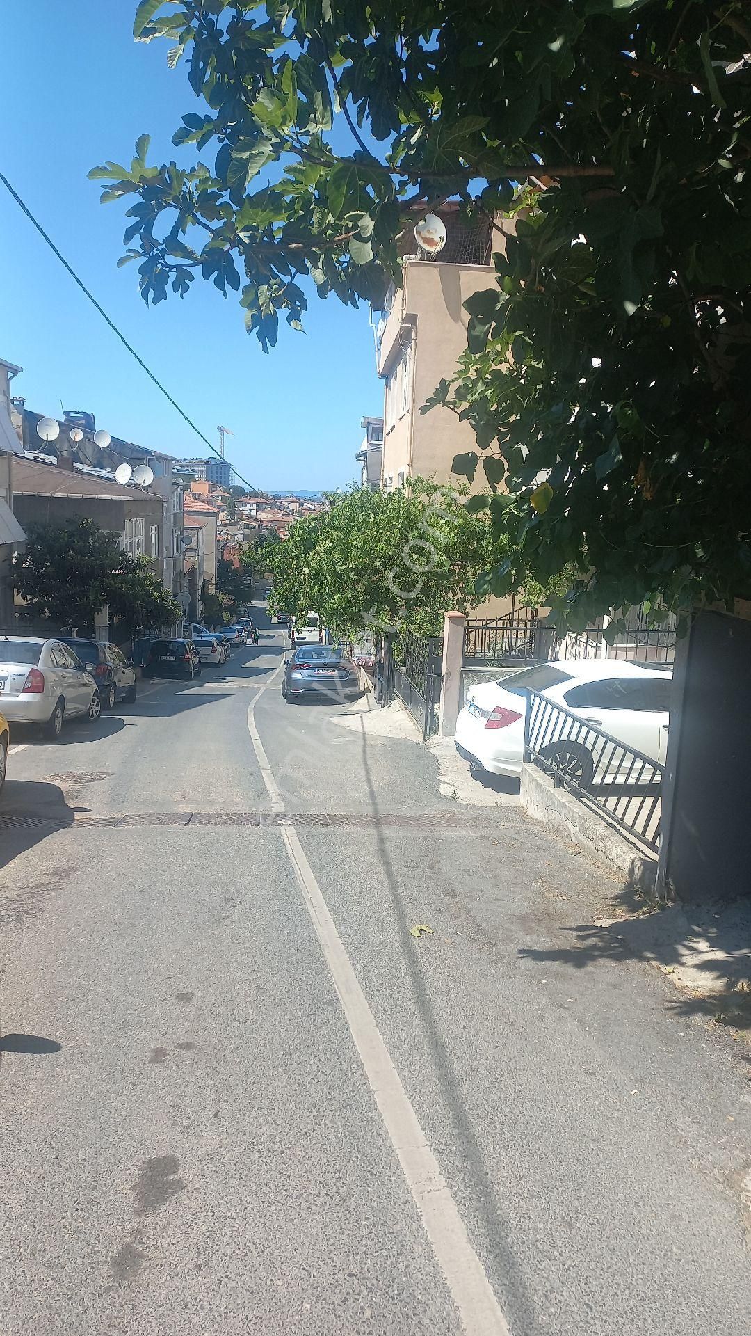 Tam Yatırımlık, Mükemmel Lokasyon