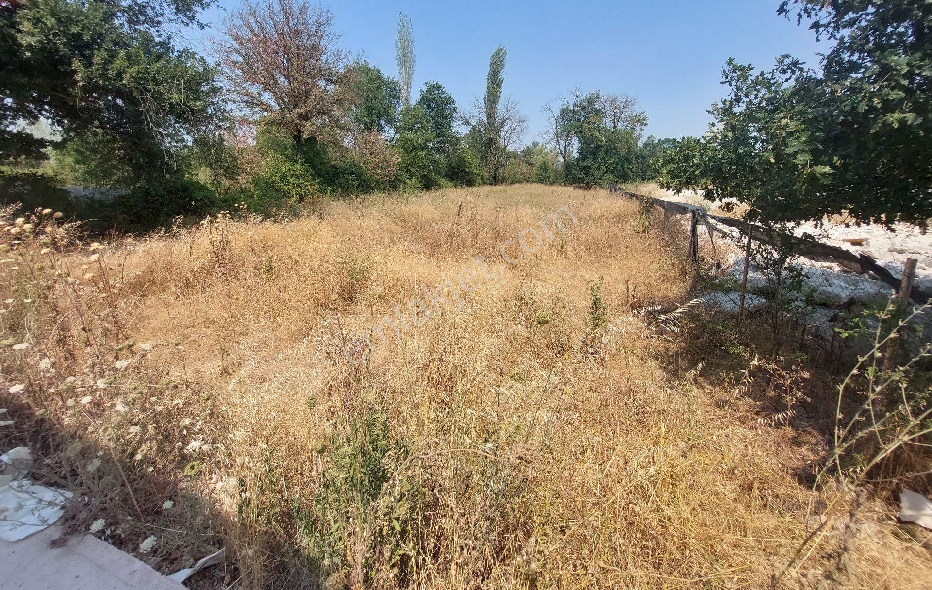 Yaylacık Satılık Tarla