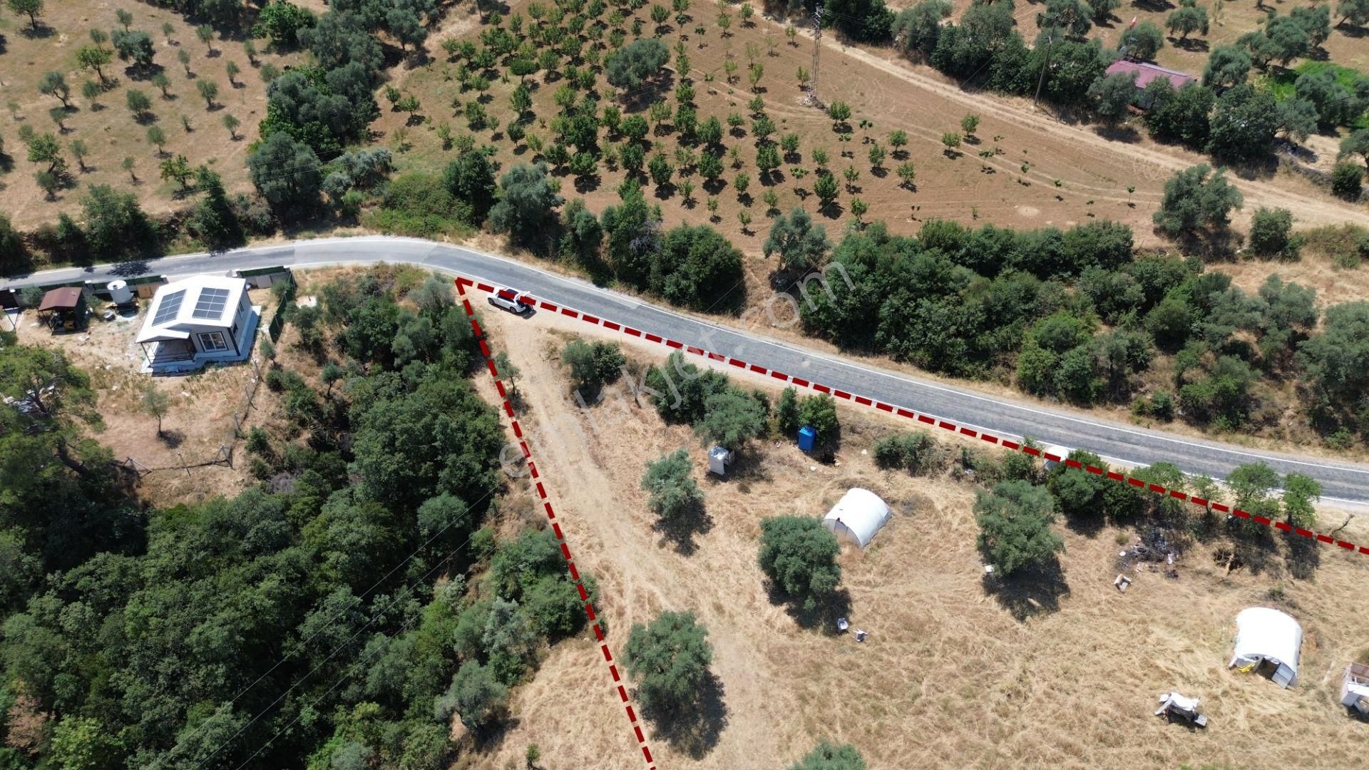 İzmir Bayındır Alanköy Mah'de Satılık Zeytinlik - Görsel 2