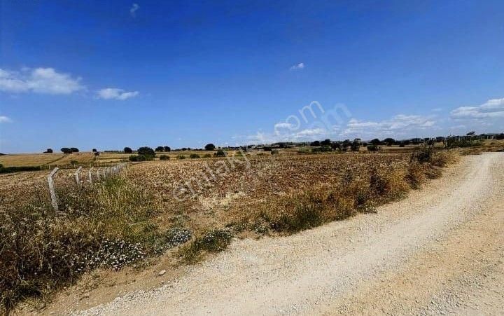 Çanakkale Merkez Karacaören'de Kelepir Satılık Arazi - Görsel 3