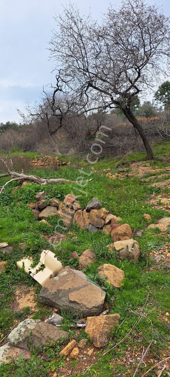 🏡 İzmir Bergama Sağıncı Mahallesi’nde Satılık Köy Evi 🌿 Huzurlu Yaşam Ve Doğayla İç İçe - Görsel 29