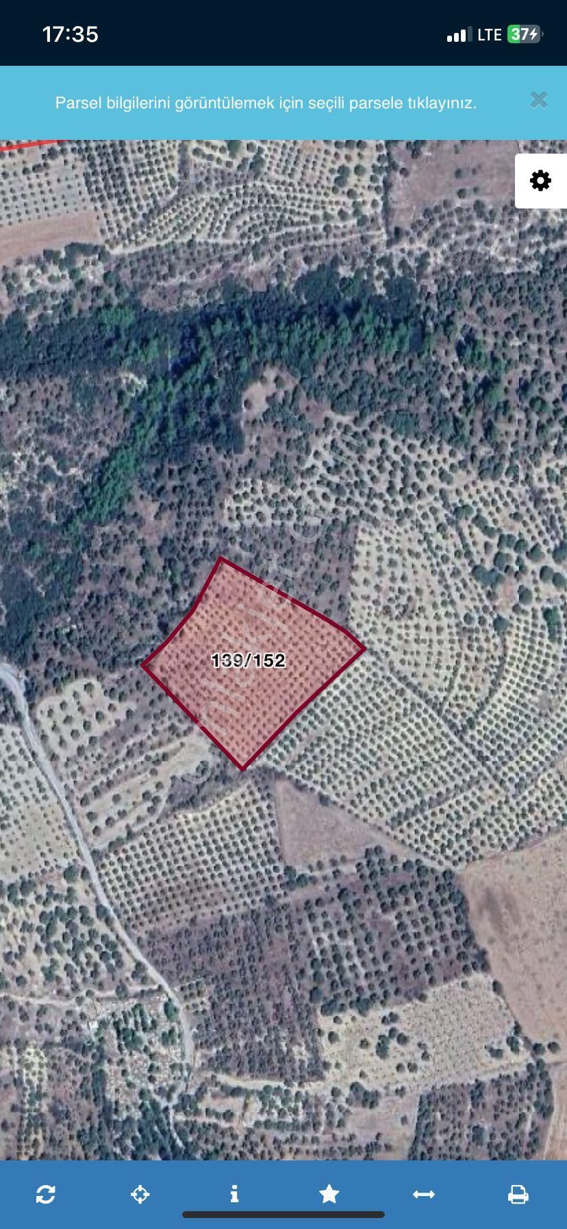 Konut Emlaktan Alamutta 10962 M2 Satılık Zeytinlik