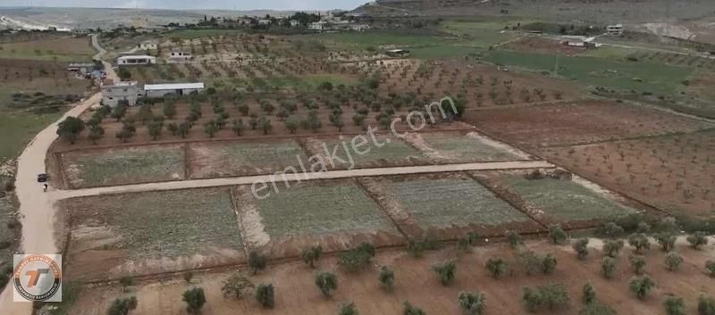 Tuğrul Emlaktan Kürüm De Bağevlik 1.120m2 Arazi Acil Fiyat Düştü