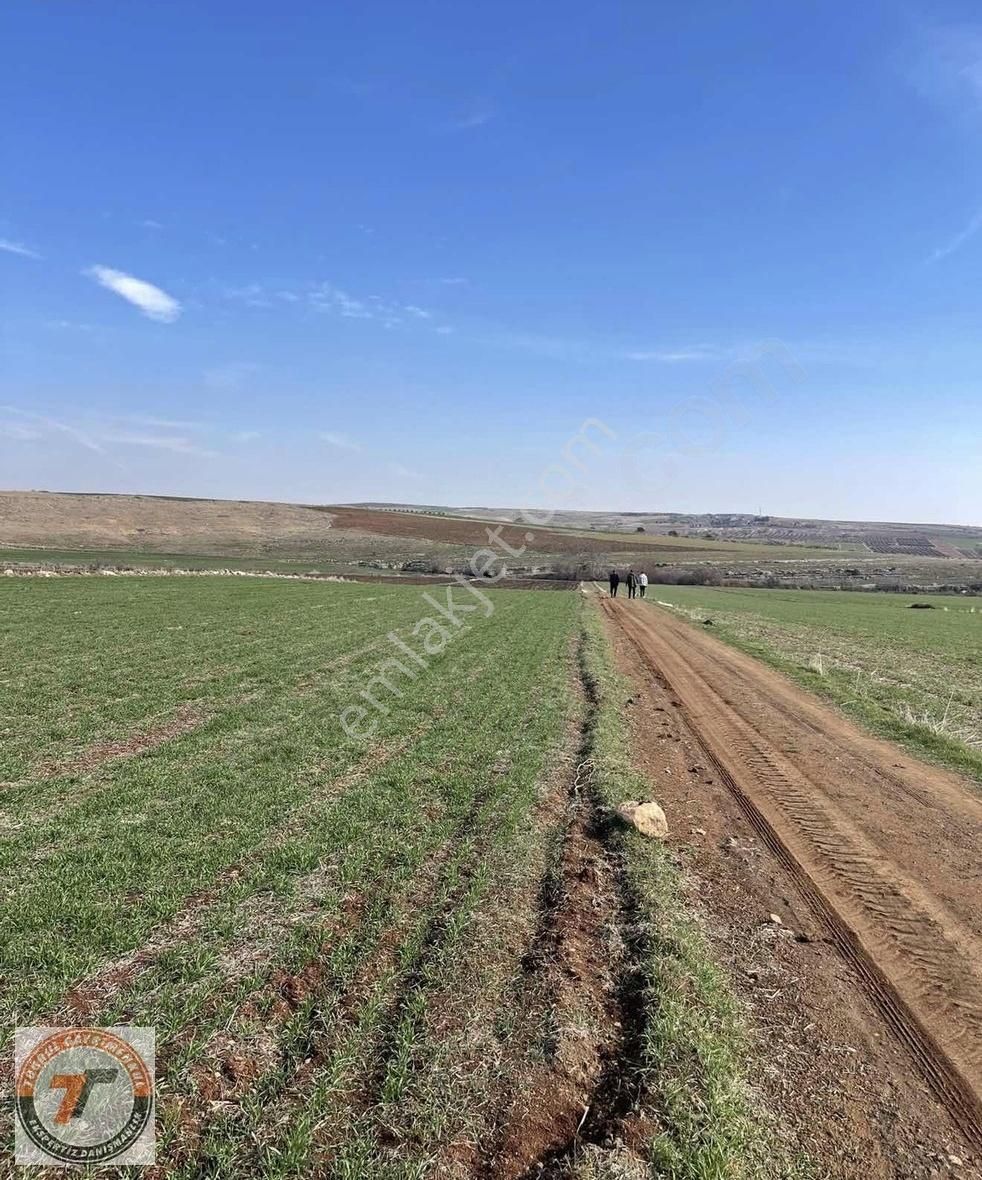 Tuğrul Emlaktan Kumruhamurkesen De 3.572m2 Fırsat Yol Üstü Arazi