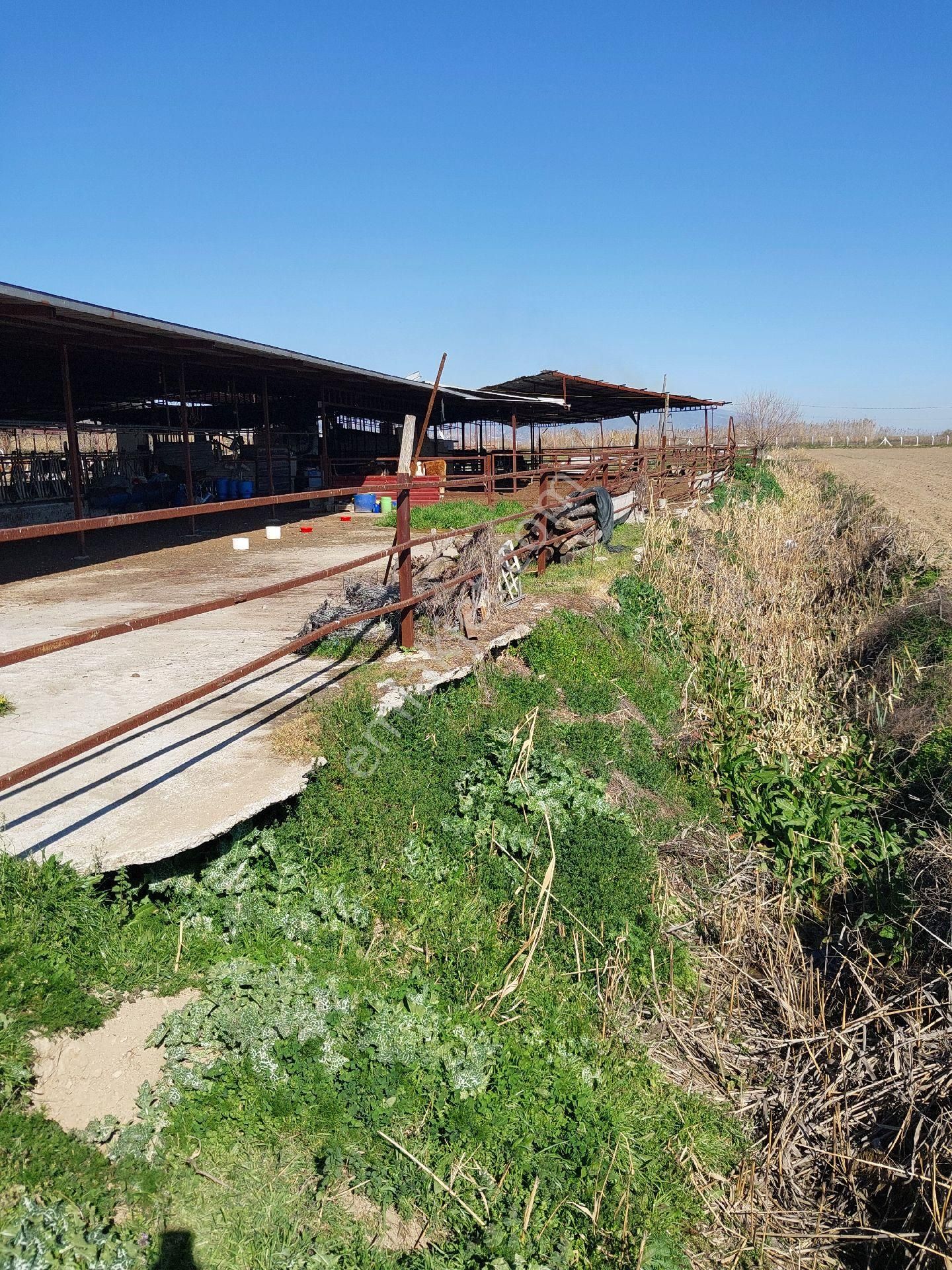 Sultanhisar Atçada 30500 Metrekare Arazi - Görsel 13