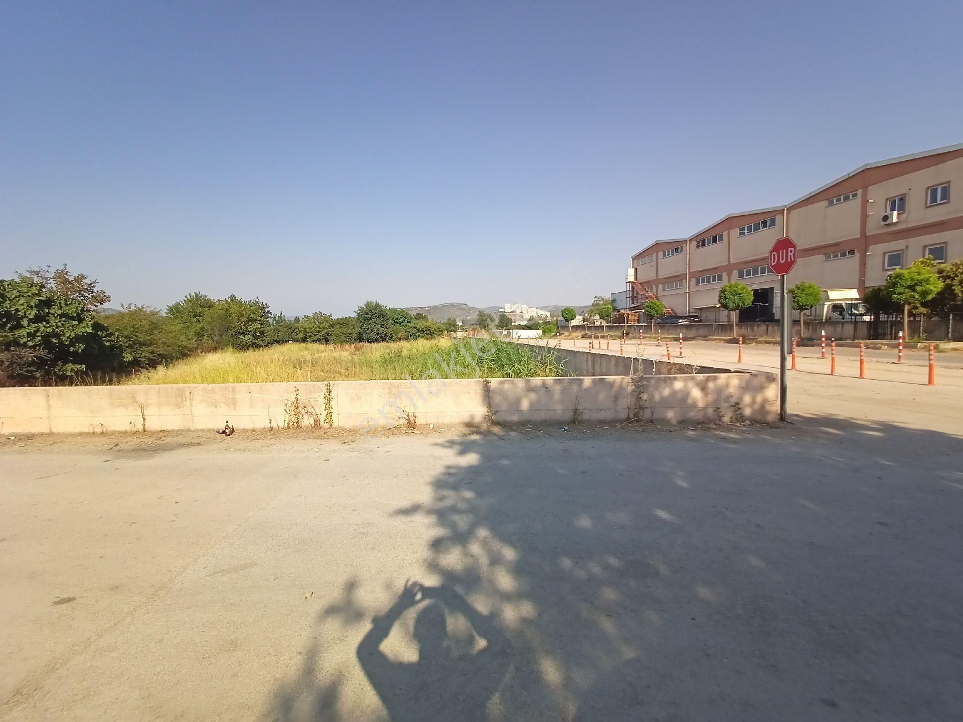 Kaçmaz Emlak Gürsu Kurtuluş Mah Osb Yanı Satılık Arazi Bahçe - Görsel 4