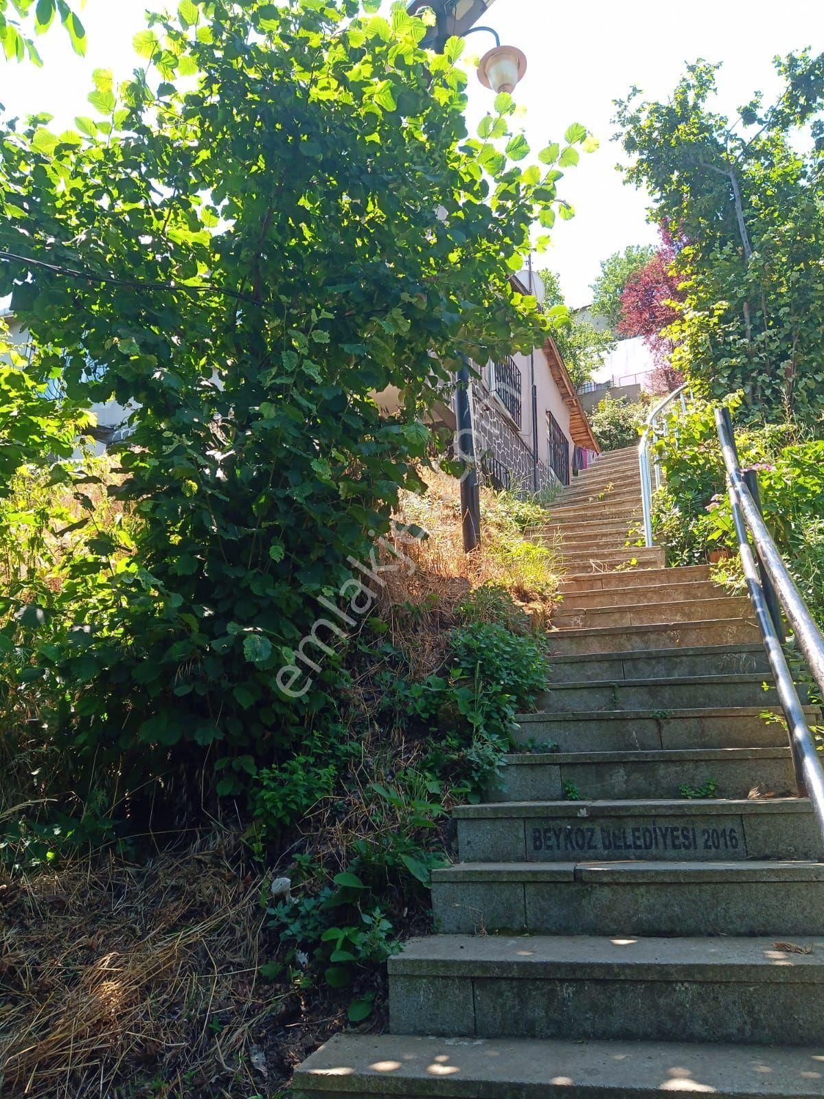 Satılık İstanbul Beykoz' Ortaçeşmede Müstakil Bahçeli Ev - Görsel 9