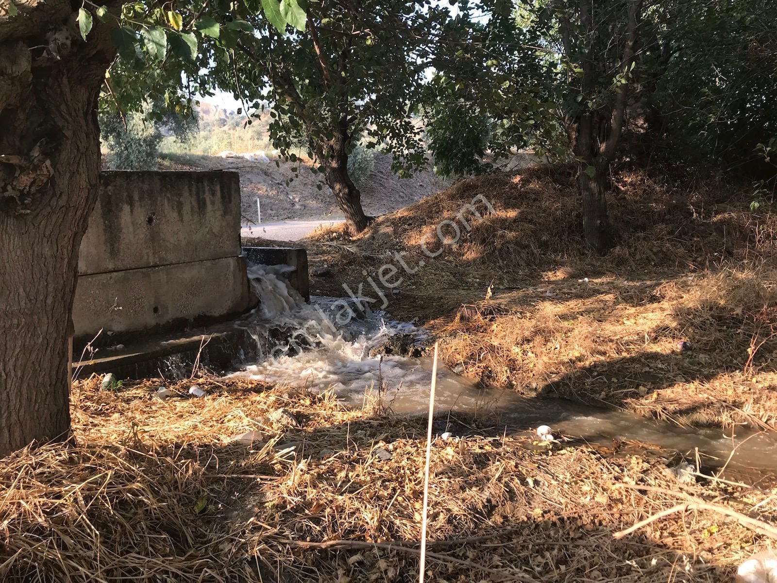 ■ Aydın Atça'da Satılık Hobi Bahçesi - Görsel 12