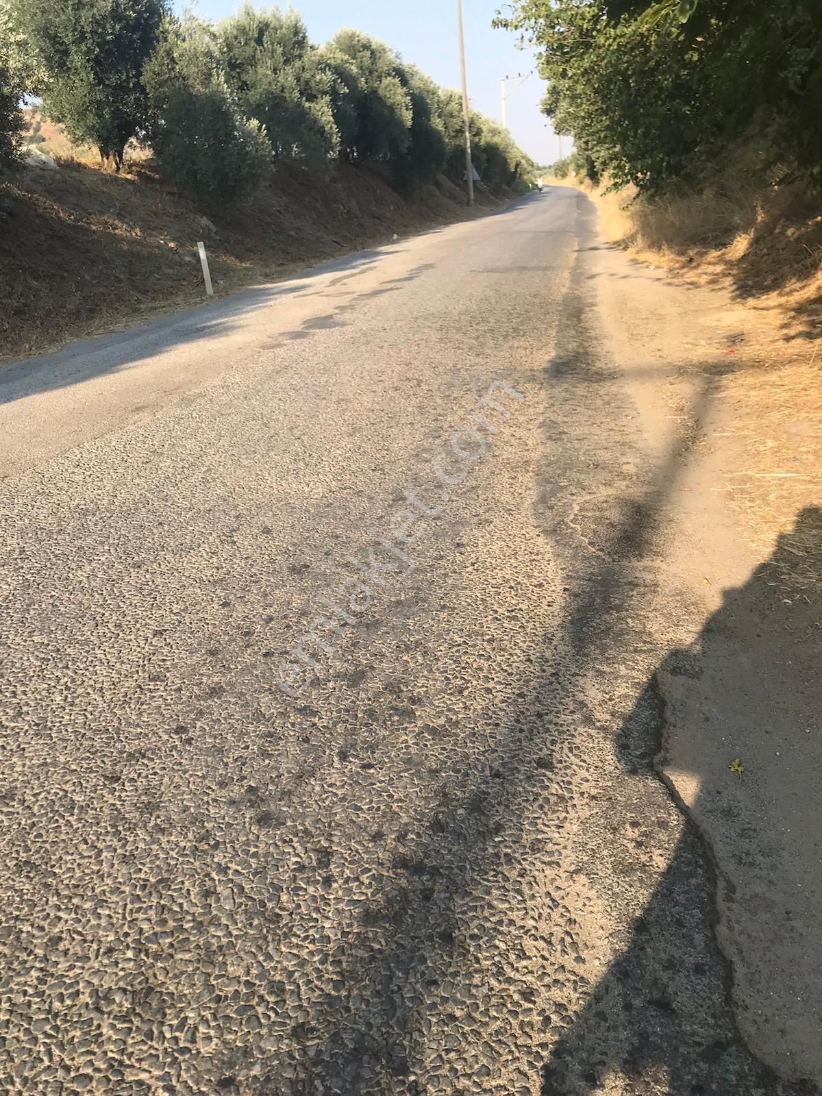 ■ Aydın Atça'da Satılık Hobi Bahçesi - Görsel 10