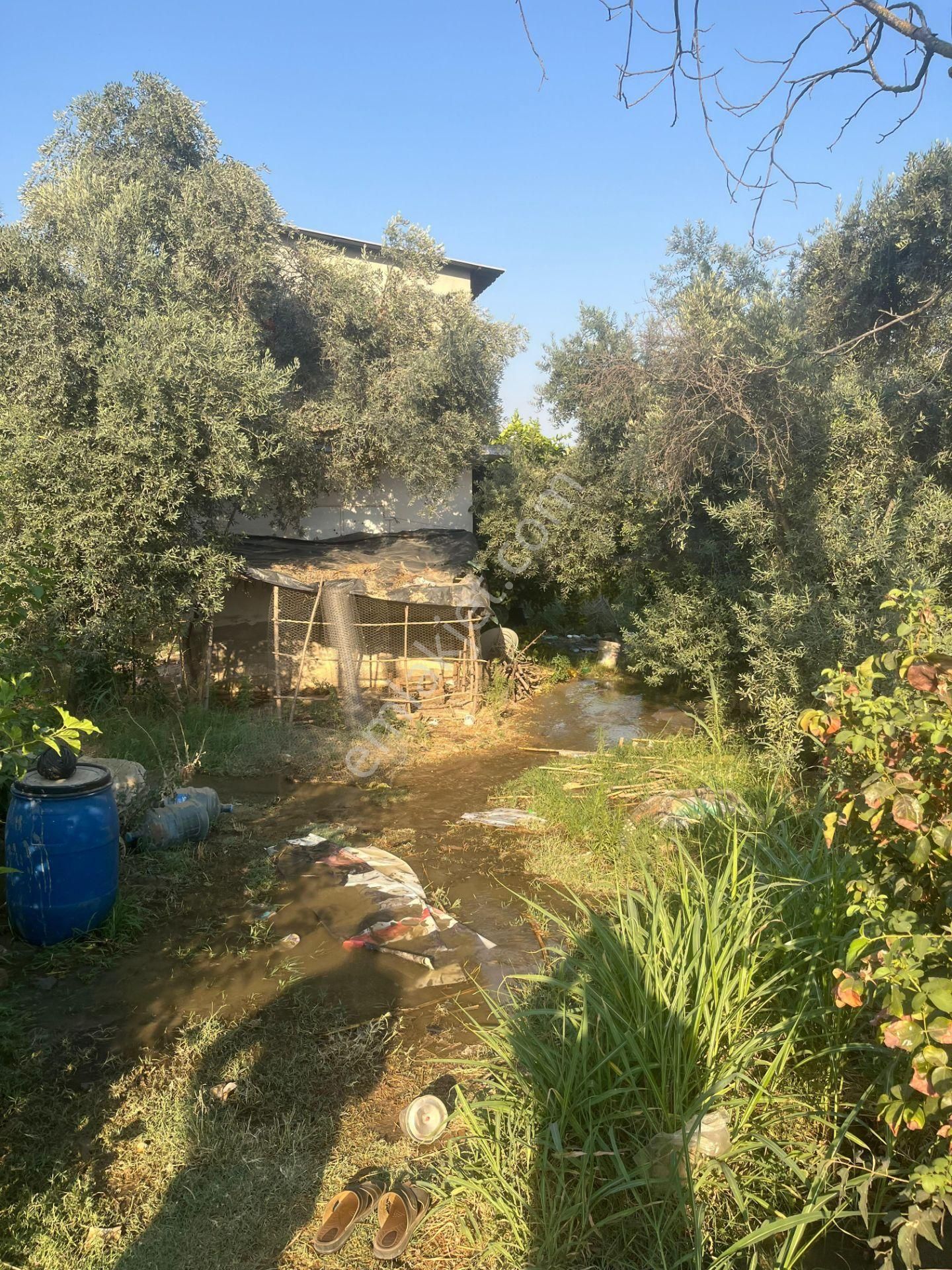 ■ Aydın Atça'da Satılık Hobi Bahçesi - Görsel 13