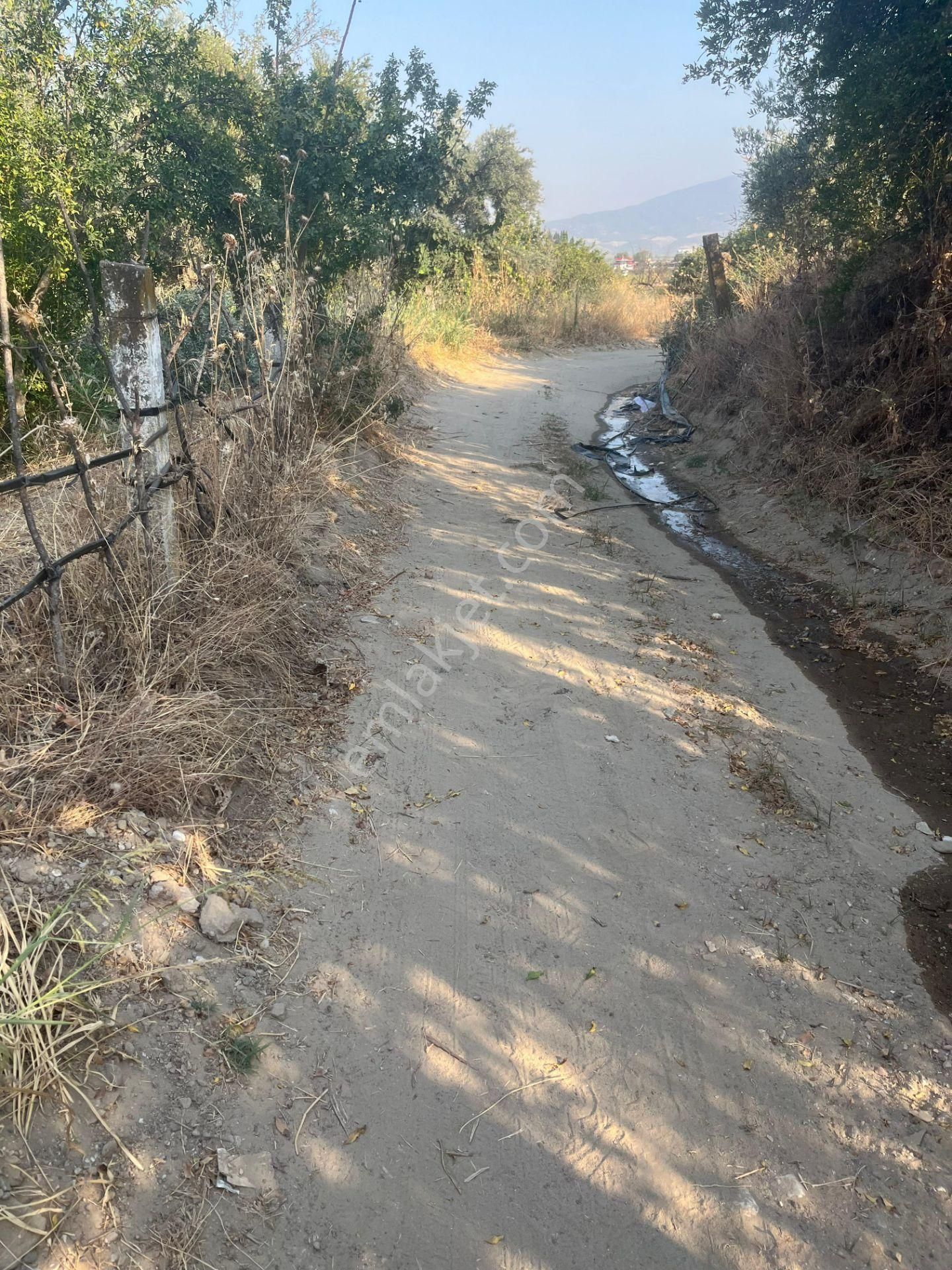 ■ Aydın Atça'da Satılık Hobi Bahçesi - Görsel 8