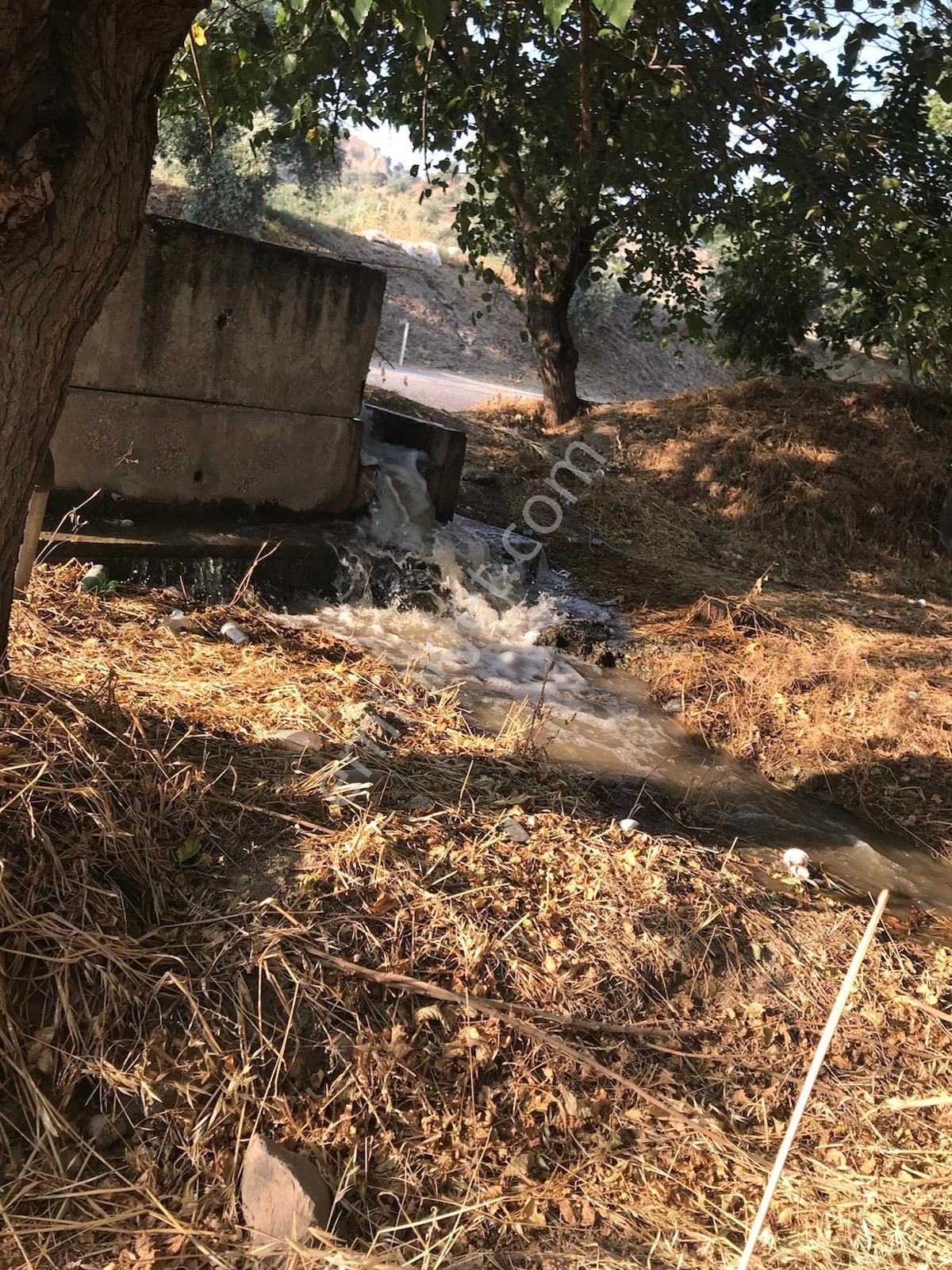 ■ Aydın Atça'da Satılık Hobi Bahçesi - Görsel 11