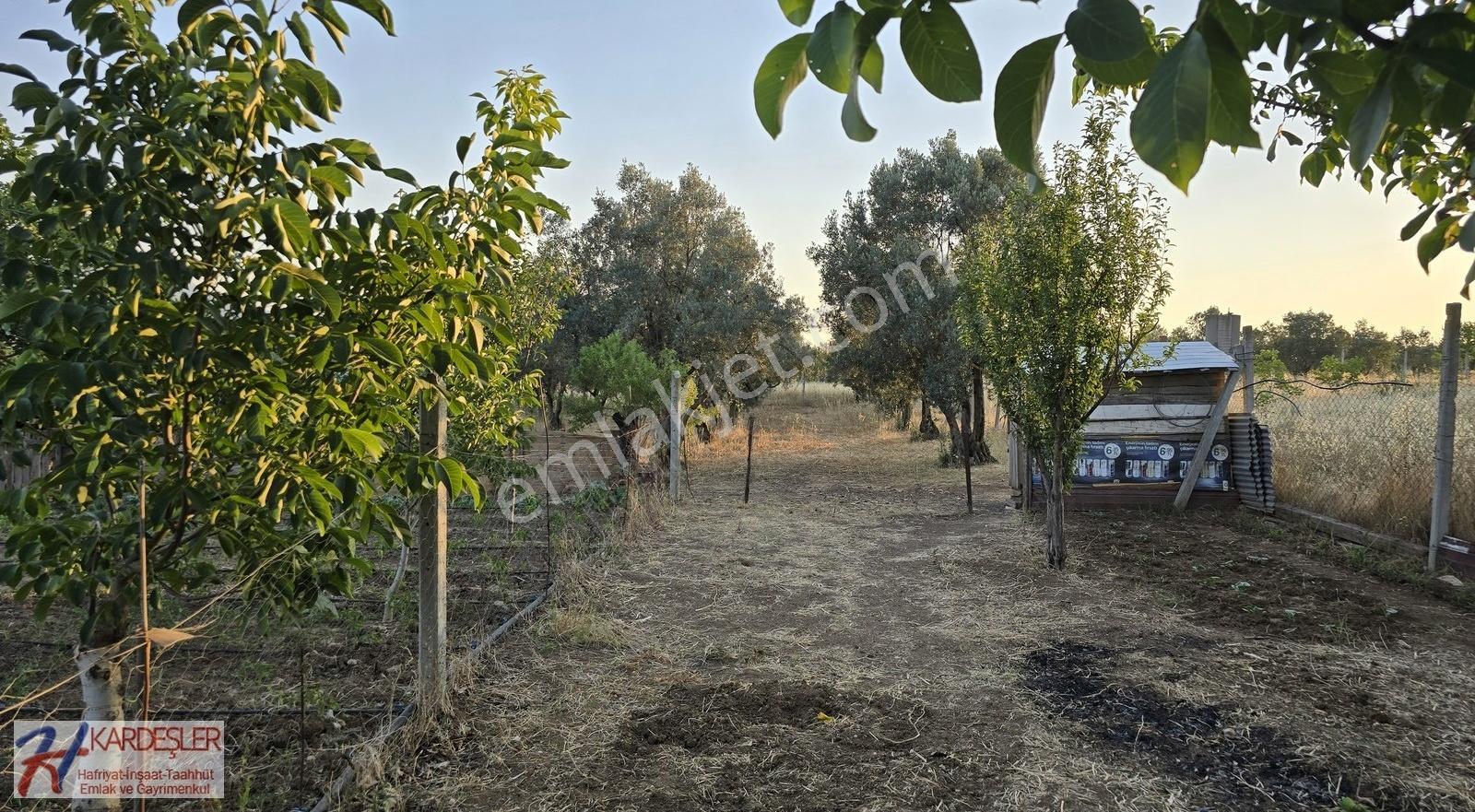 Sakarya Pamukova Teşvikiye Mah.1634 M2 Arsa İçinde Müstakil Ev - Görsel 10