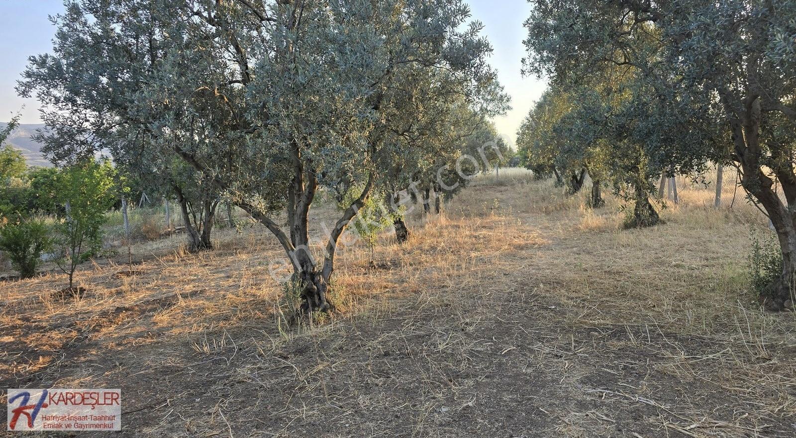 Sakarya Pamukova Teşvikiye Mah.1634 M2 Arsa İçinde Müstakil Ev - Görsel 18