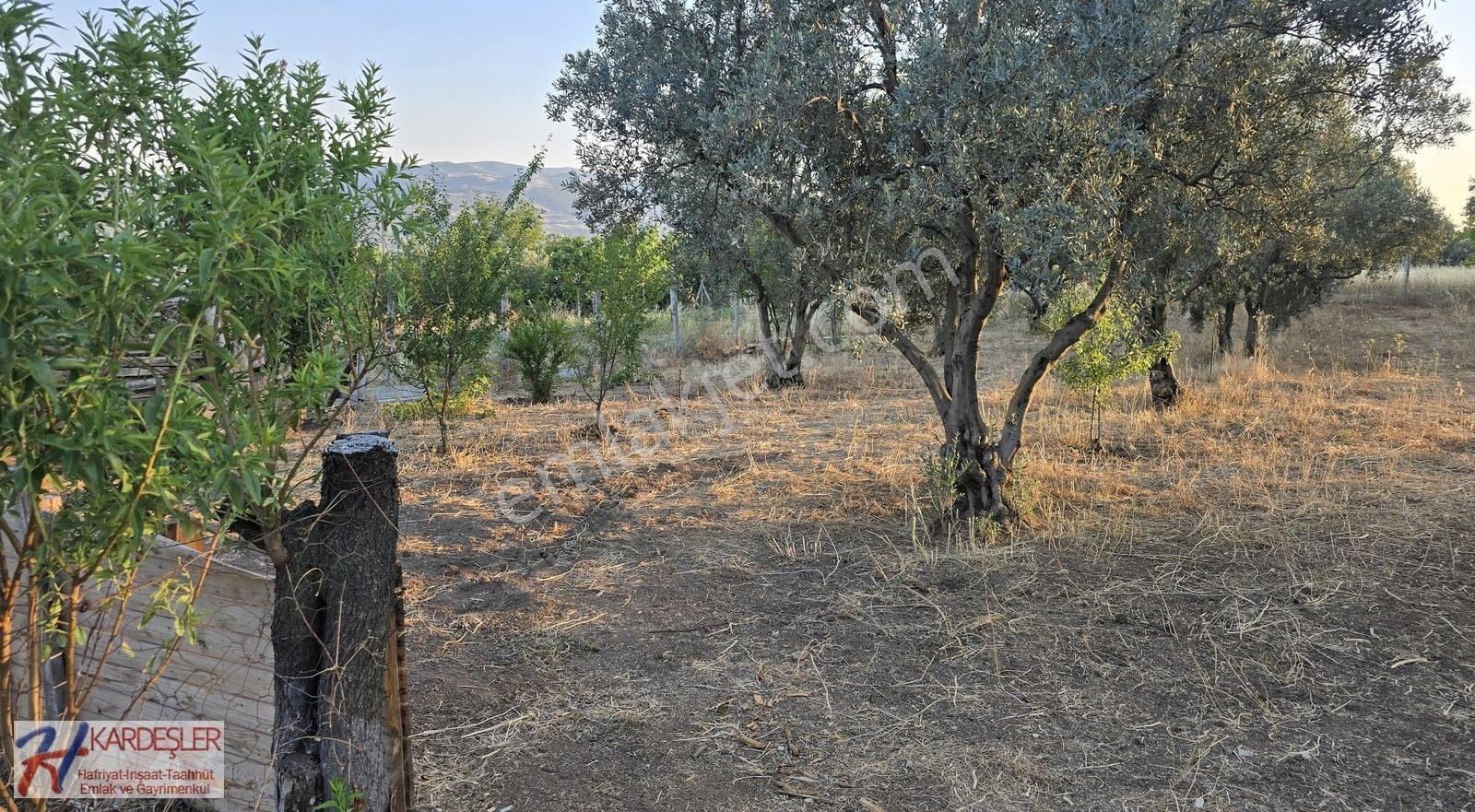 Sakarya Pamukova Teşvikiye Mah.1634 M2 Arsa İçinde Müstakil Ev - Görsel 6