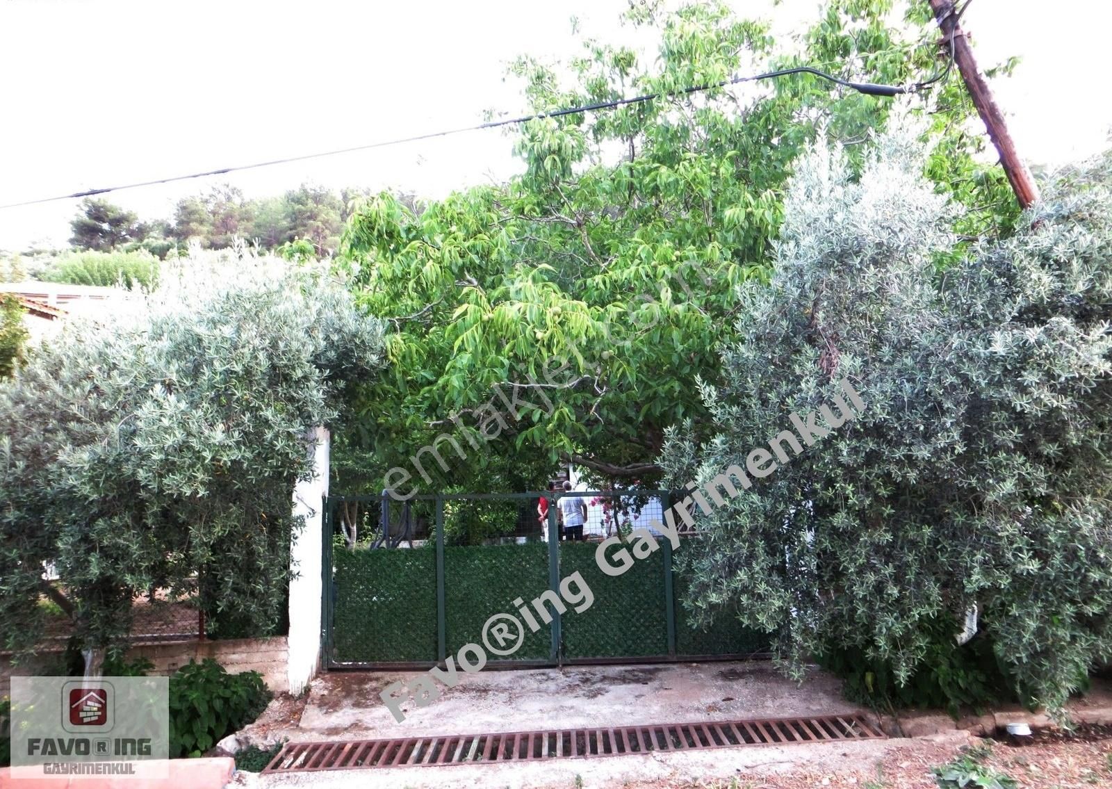 Menderes Ahmetbeyli | 441m2 Anayola 230 Mt. | 2 Kat İmarlı Arsa - Görsel 12