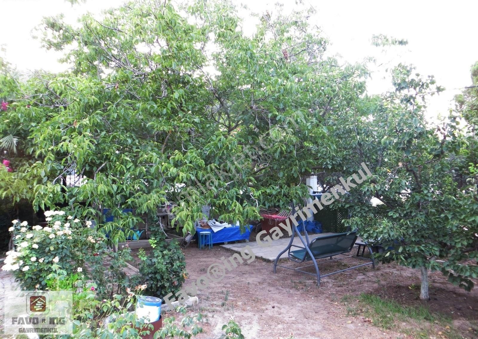 Menderes Ahmetbeyli | 441m2 Anayola 230 Mt. | 2 Kat İmarlı Arsa - Görsel 22