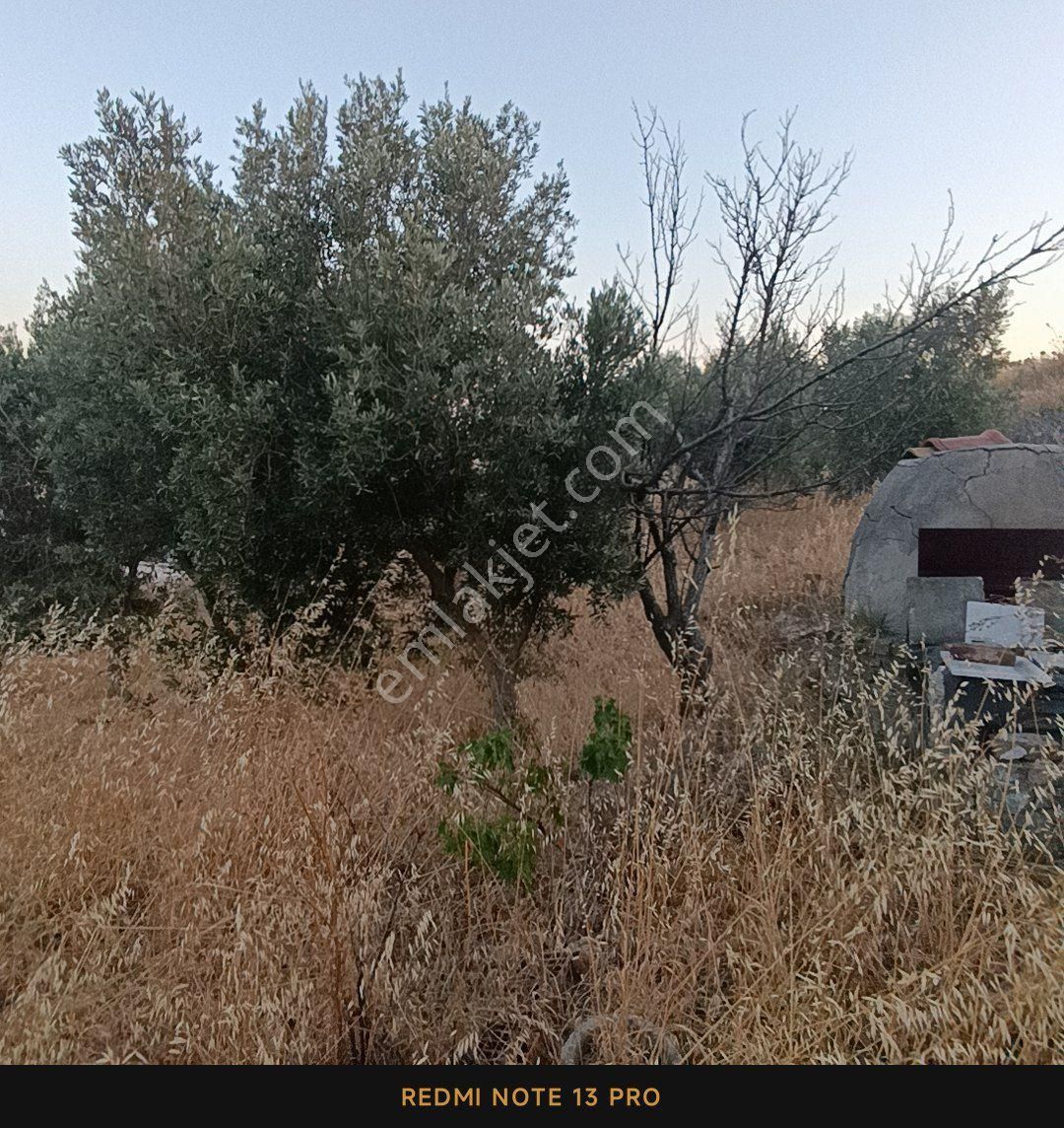 Şarköy İstiklal De 255 M2 Arsa İçinde Müstakil Ev - Görsel 13