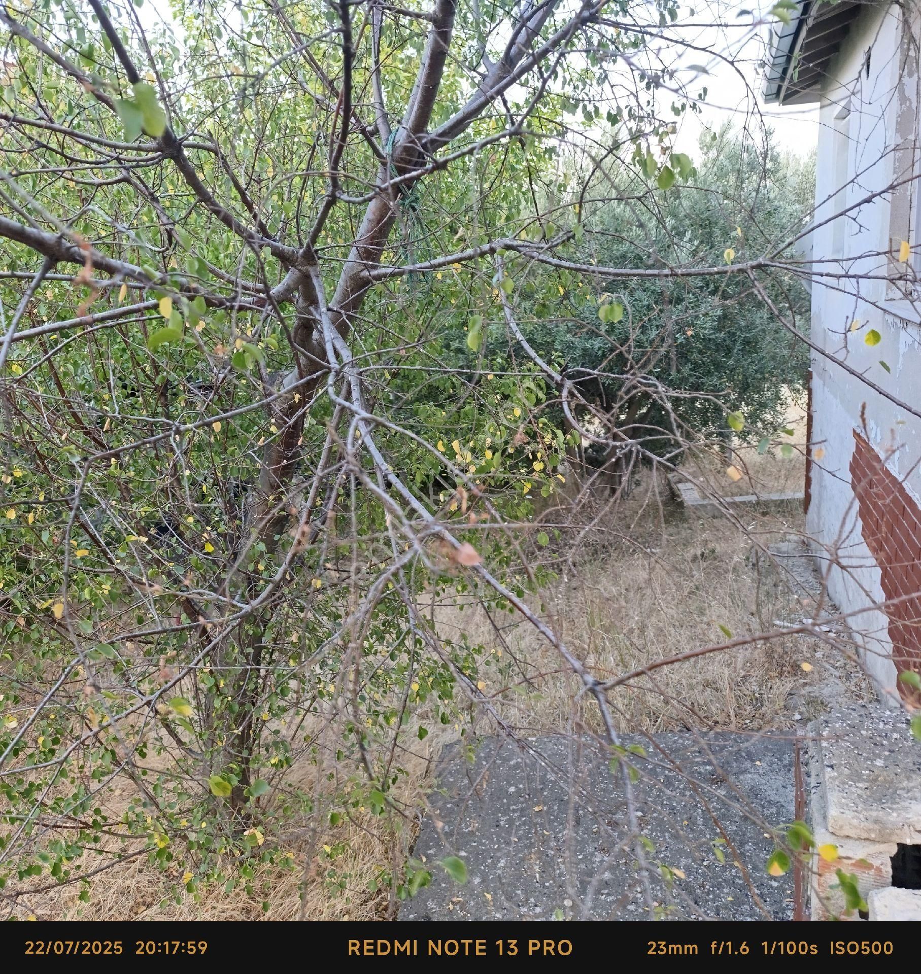 Şarköy İstiklal De 255 M2 Arsa İçinde Müstakil Ev - Görsel 16