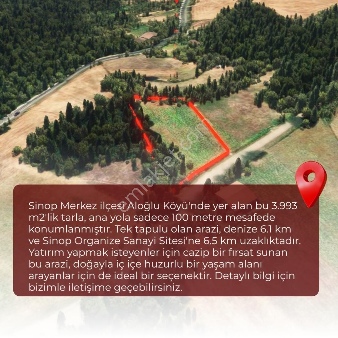 Sinop Aloğlu Köyü Satılık Tarla