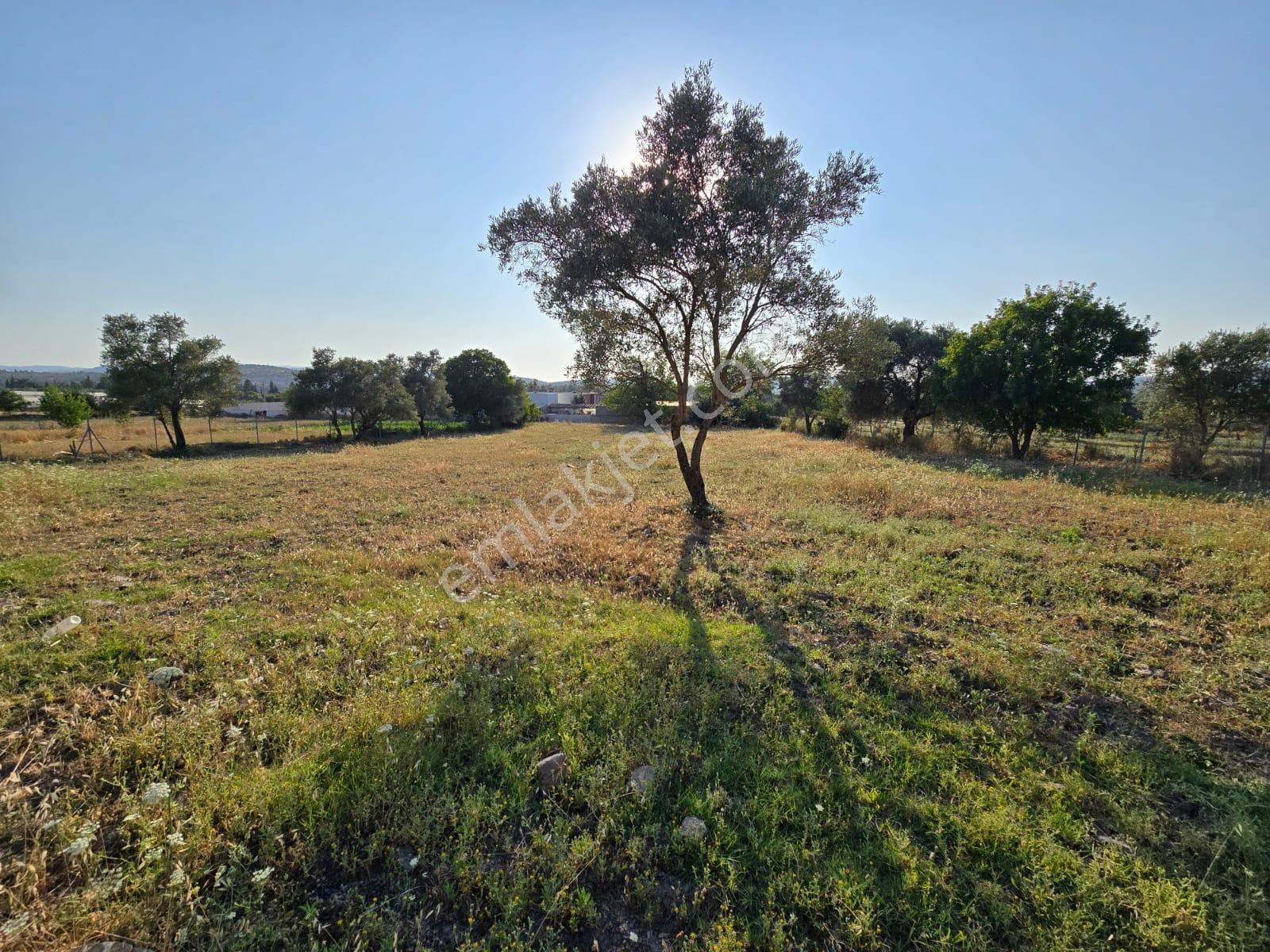 Bodrum Bahçeyaka Satılık İmarlı Arsa - Görsel 16