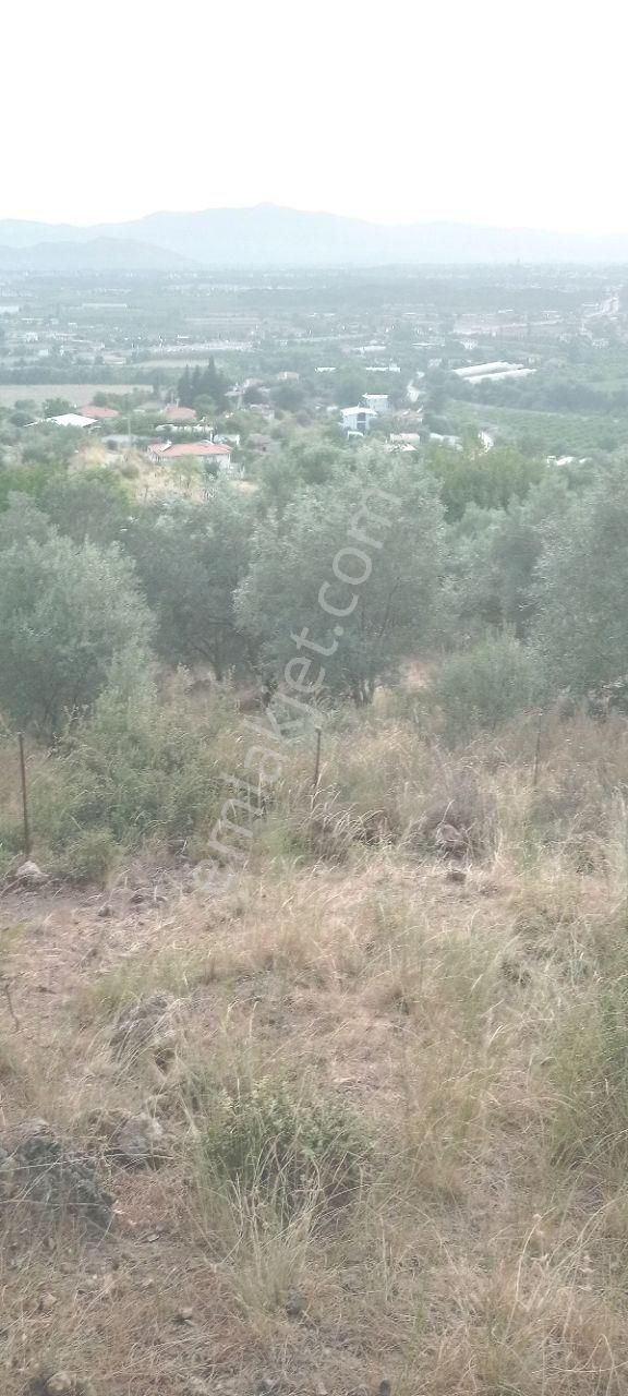 Muğla Dalaman Gürköy Müstakil Parsel