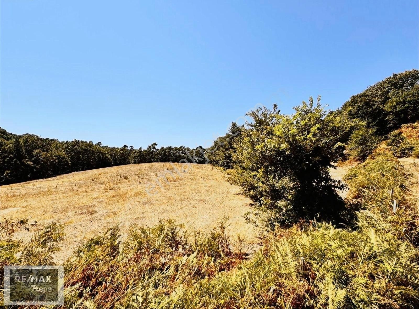 Serkan Uzar - Çanakkale Yenice- Ballıçay Köyü - Görsel 6