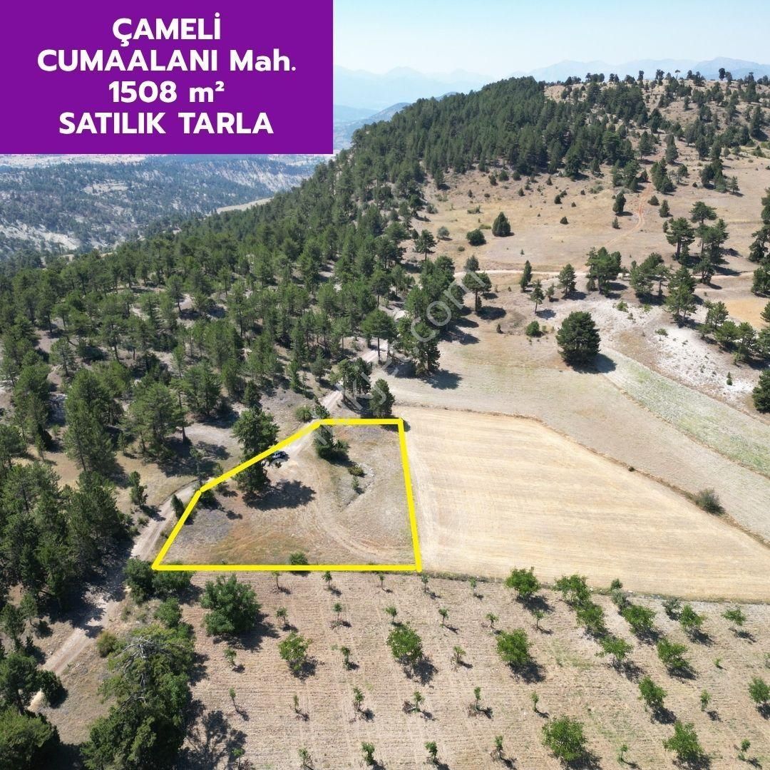 Lobby Fortis'ten Çameli Cumaalanı'nda 1508 M² Olan Tarlamız Satılıktır.