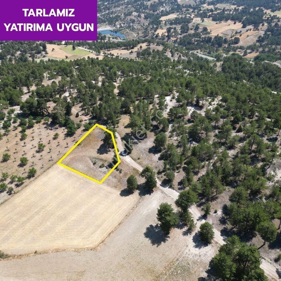 Lobby Fortis'ten Çameli Cumaalanı'nda 1508 M² Olan Tarlamız Satılıktır. - Görsel 3