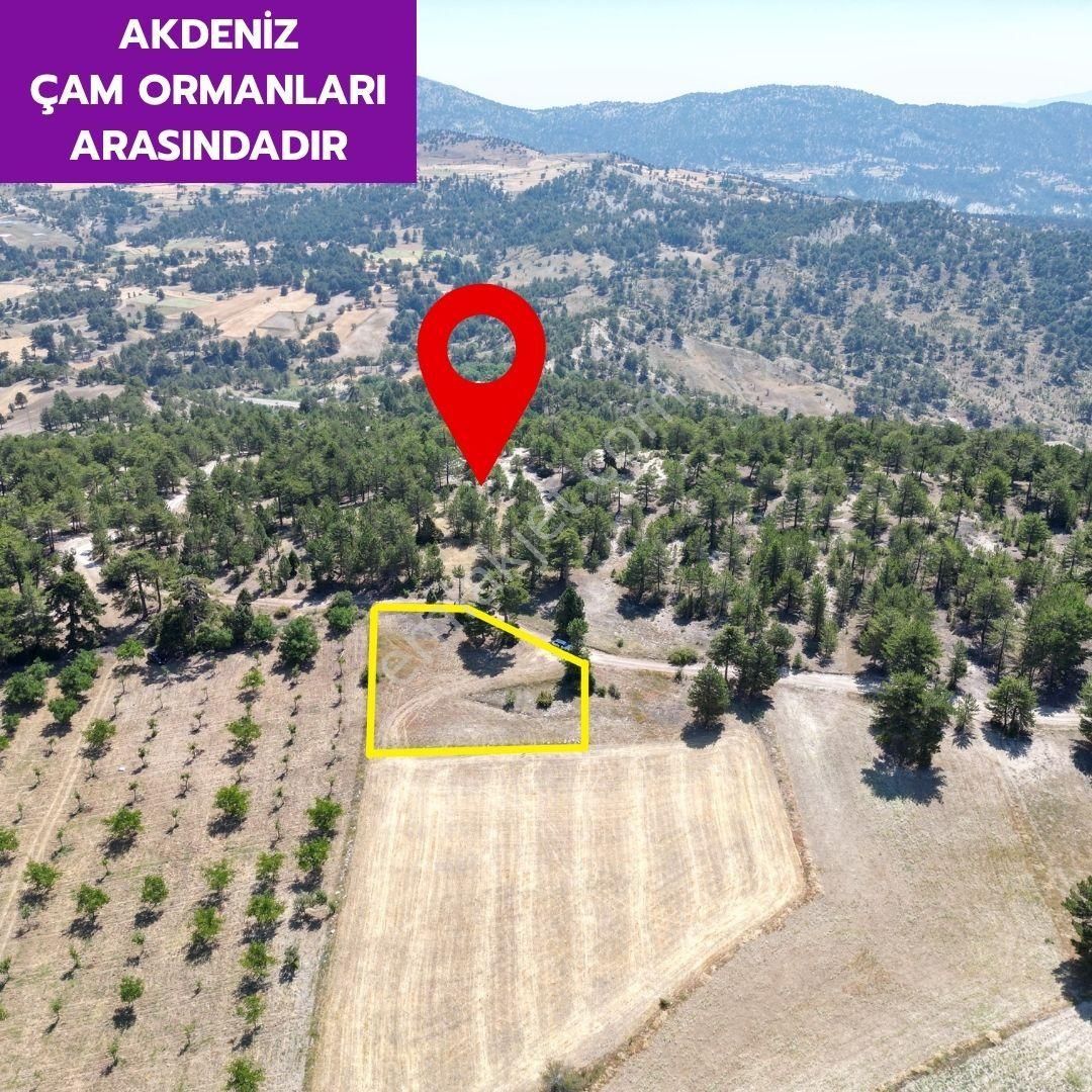 Lobby Fortis'ten Çameli Cumaalanı'nda 1508 M² Olan Tarlamız Satılıktır. - Görsel 4