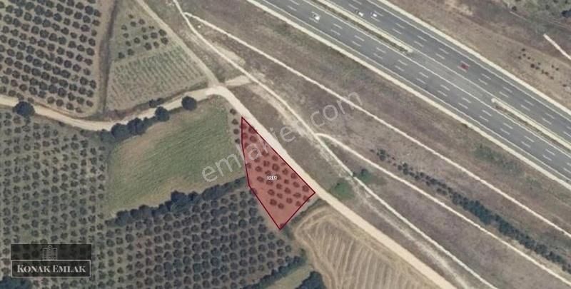 Organize Sanayi Bölgesine 2 Km Ana Yol Yanı Fırsat Tarla