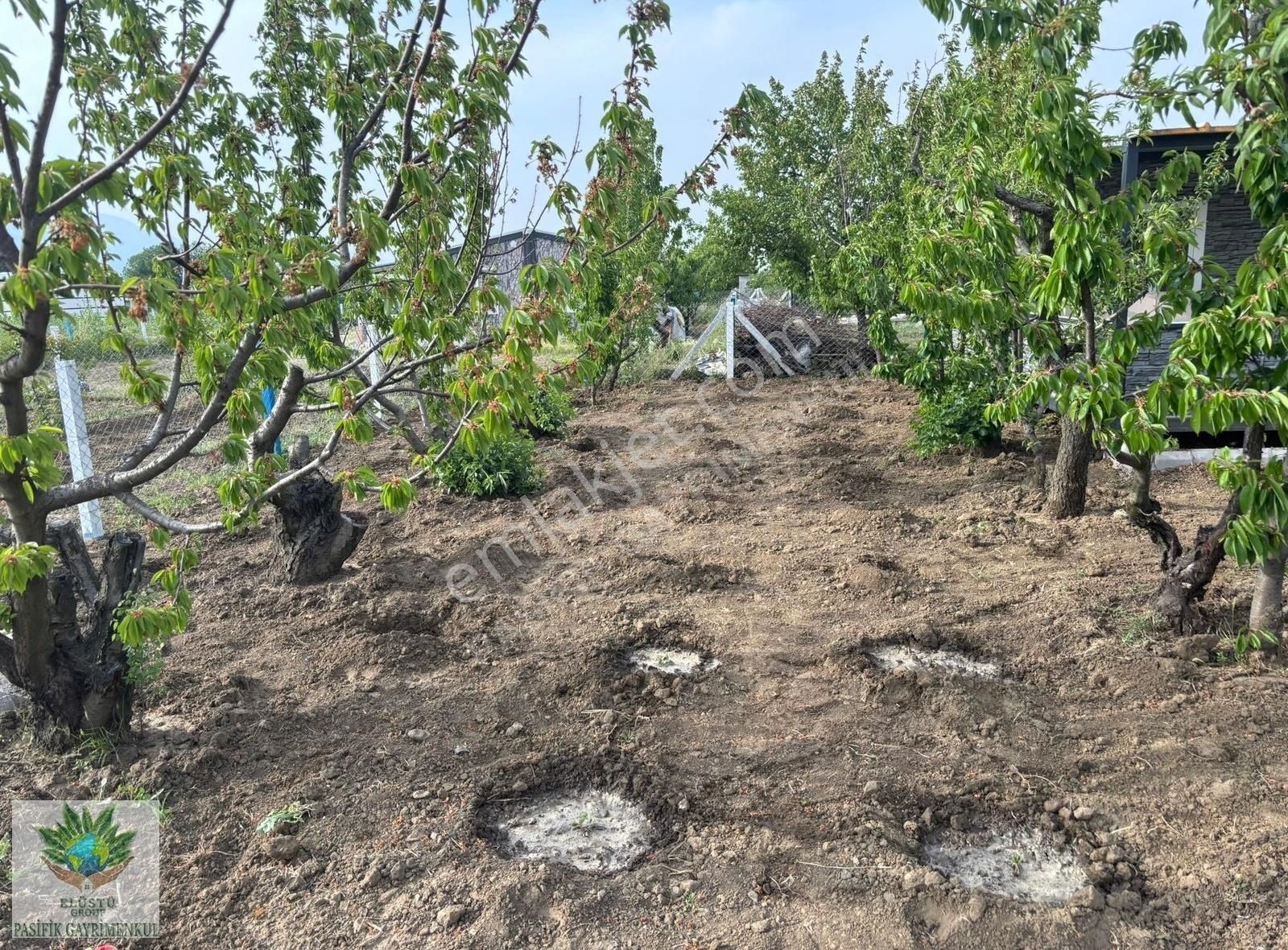 Pasifikten Kemalpaşa Örende 414 M² Tapudan Devir Arazi - Görsel 11
