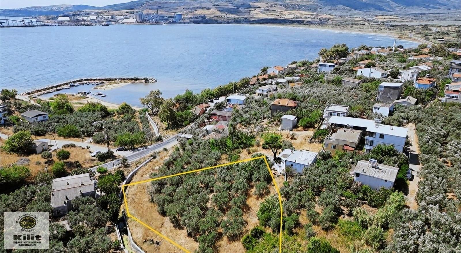 Kilit Emlak'tan Aşağı Yapıcı'da Deniz Manzaralı Zeytinlik