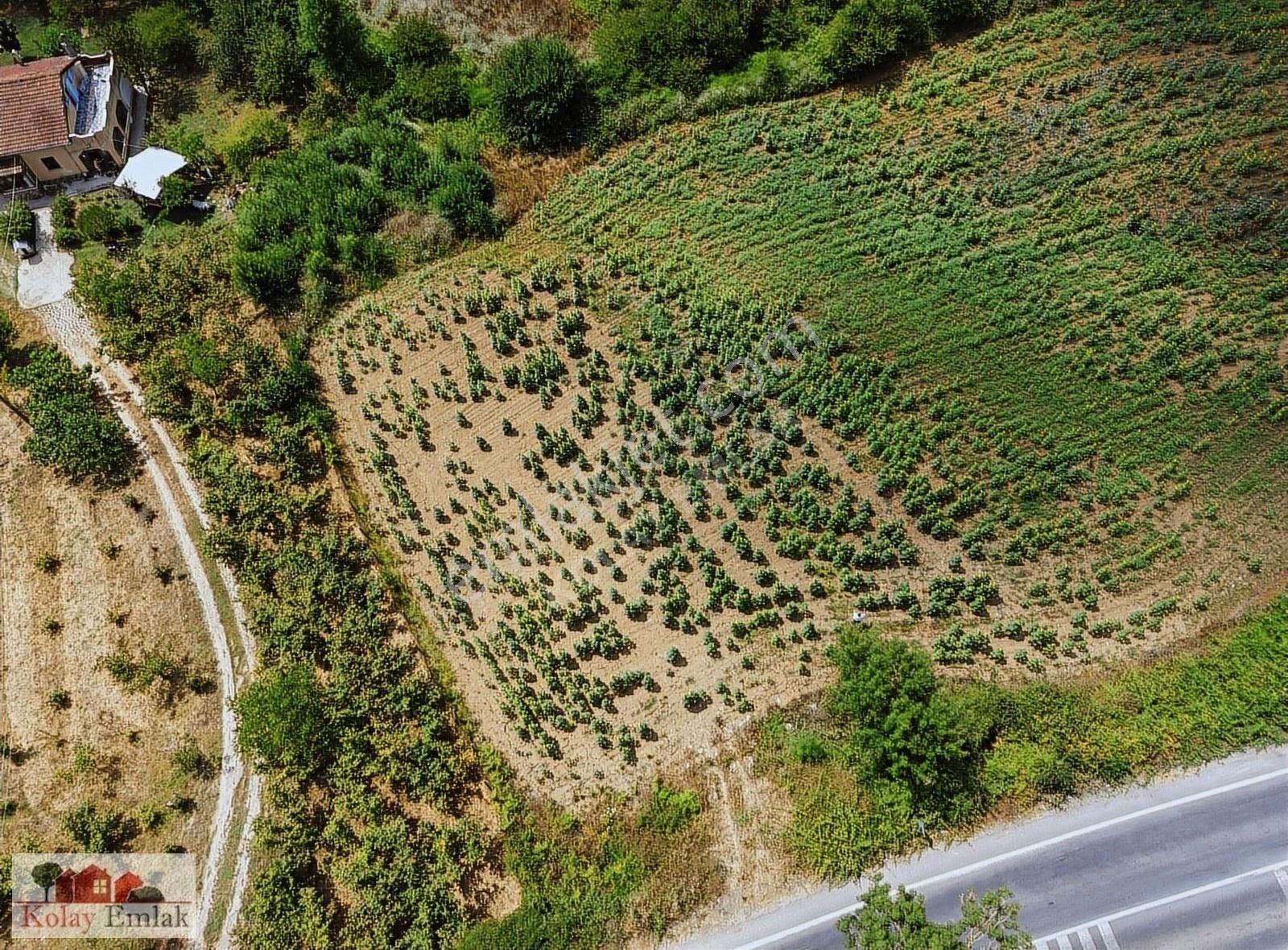 Kocaeli Kerpede Asfalt Cephe Satılık 1.025m2 Tarla - Görsel 6