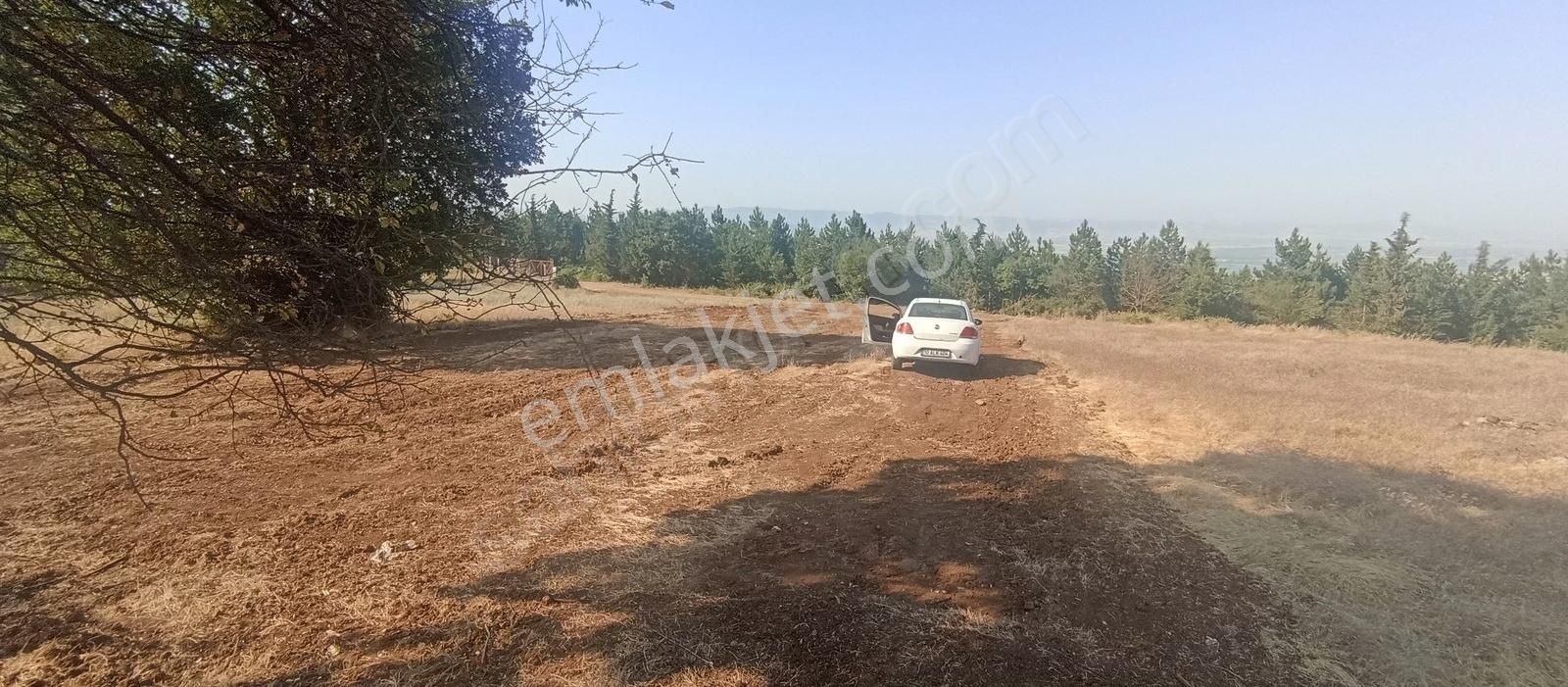 Efsane Manzaralı 750 M2 Tek Tapu Satılık Fırsat Tarla